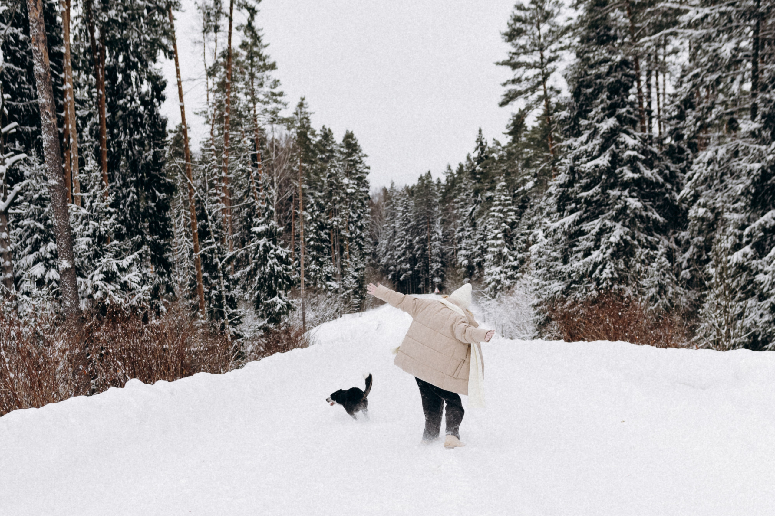 Аня и Милан. Фотограф анималист в Москве Ольга Агушева