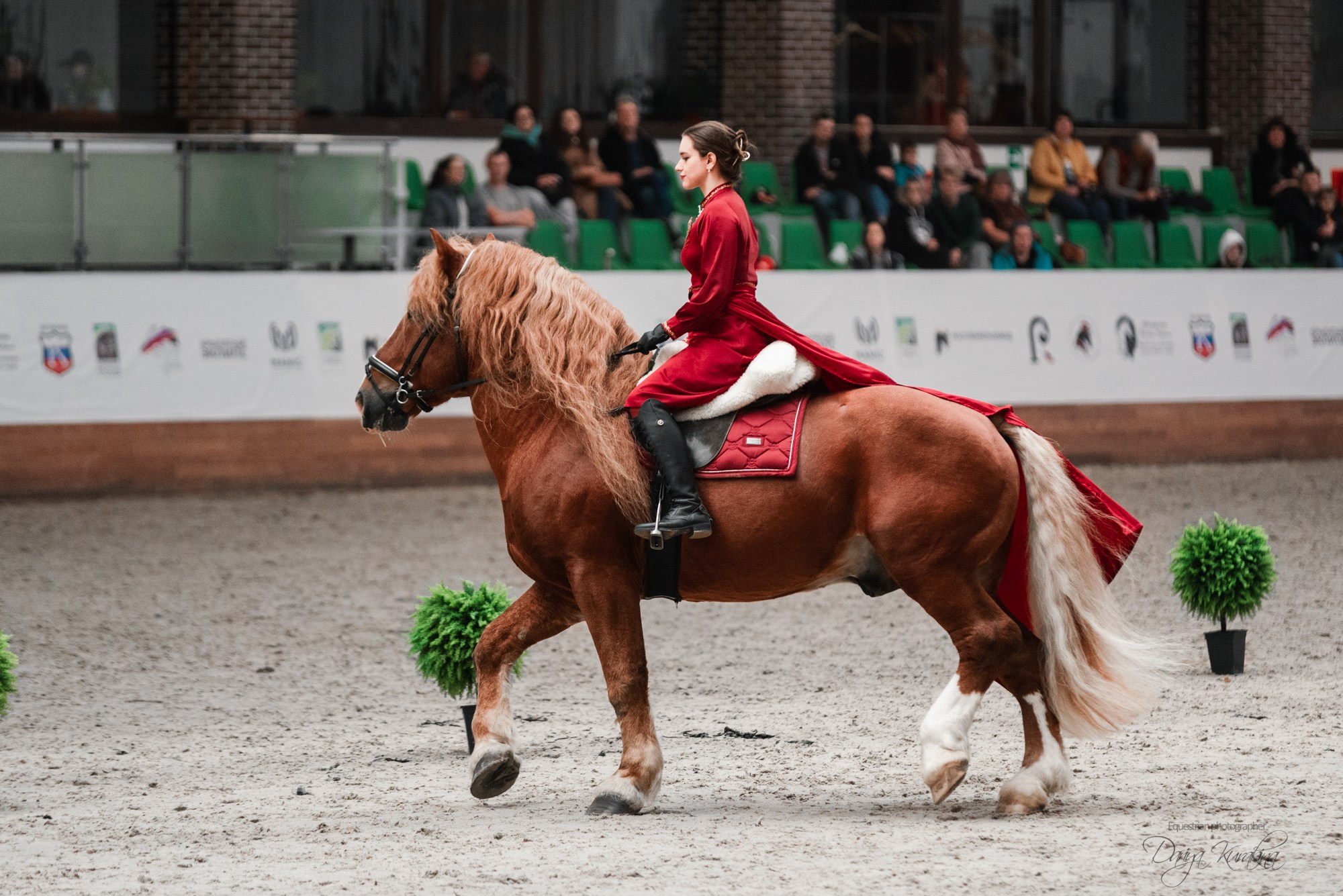 8-я международная выставка Конная Россия. Конный фотограф Куракина Дарья • Фотосессии с лошадьми