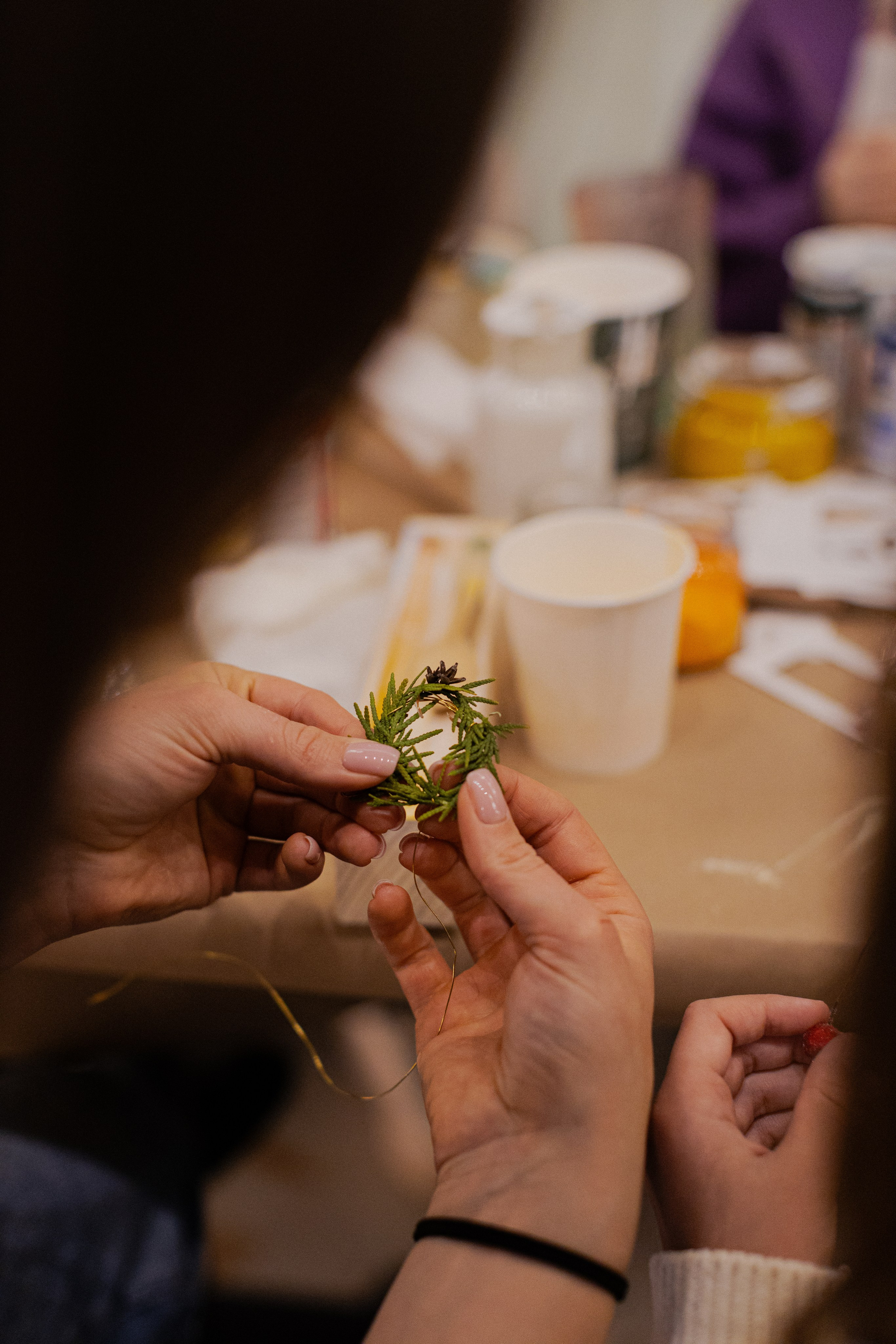 МК Домики. Анастасия Ракчеева Художник