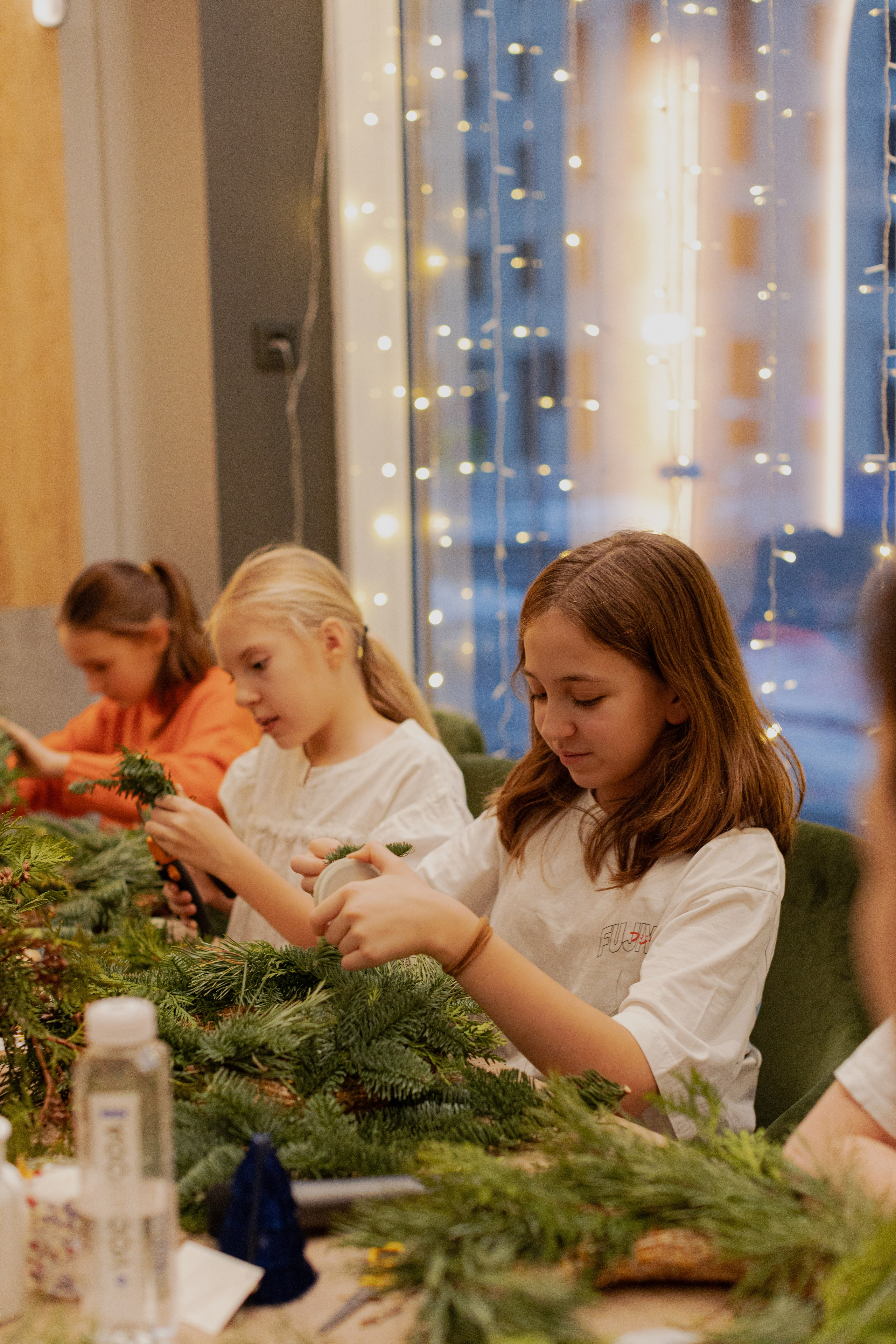 Мк Новогодний Венок. Анастасия Ракчеева Художник