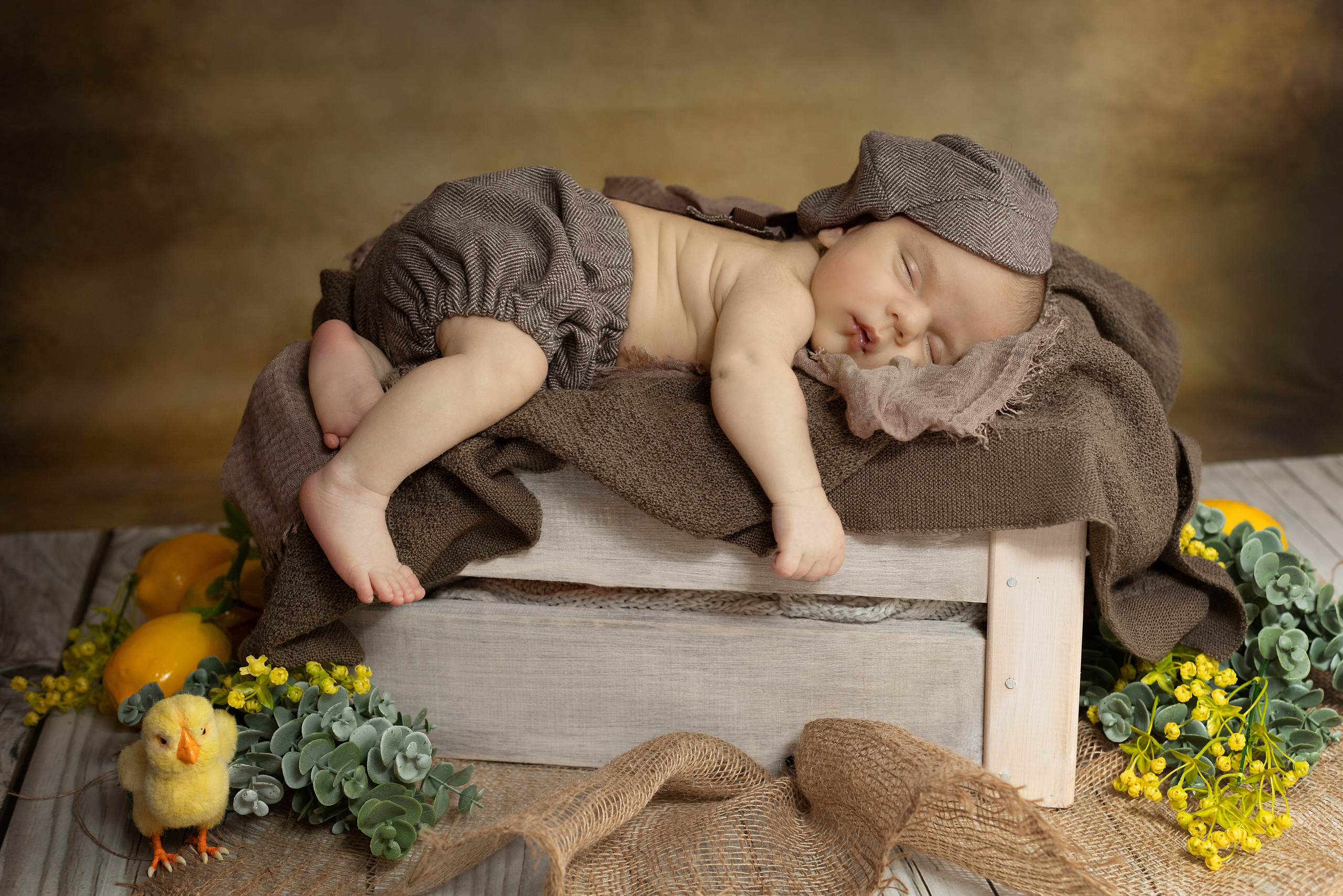 Лев. Ольга SHREIBICUS — Фотография беременности и новорожденных Оренбург