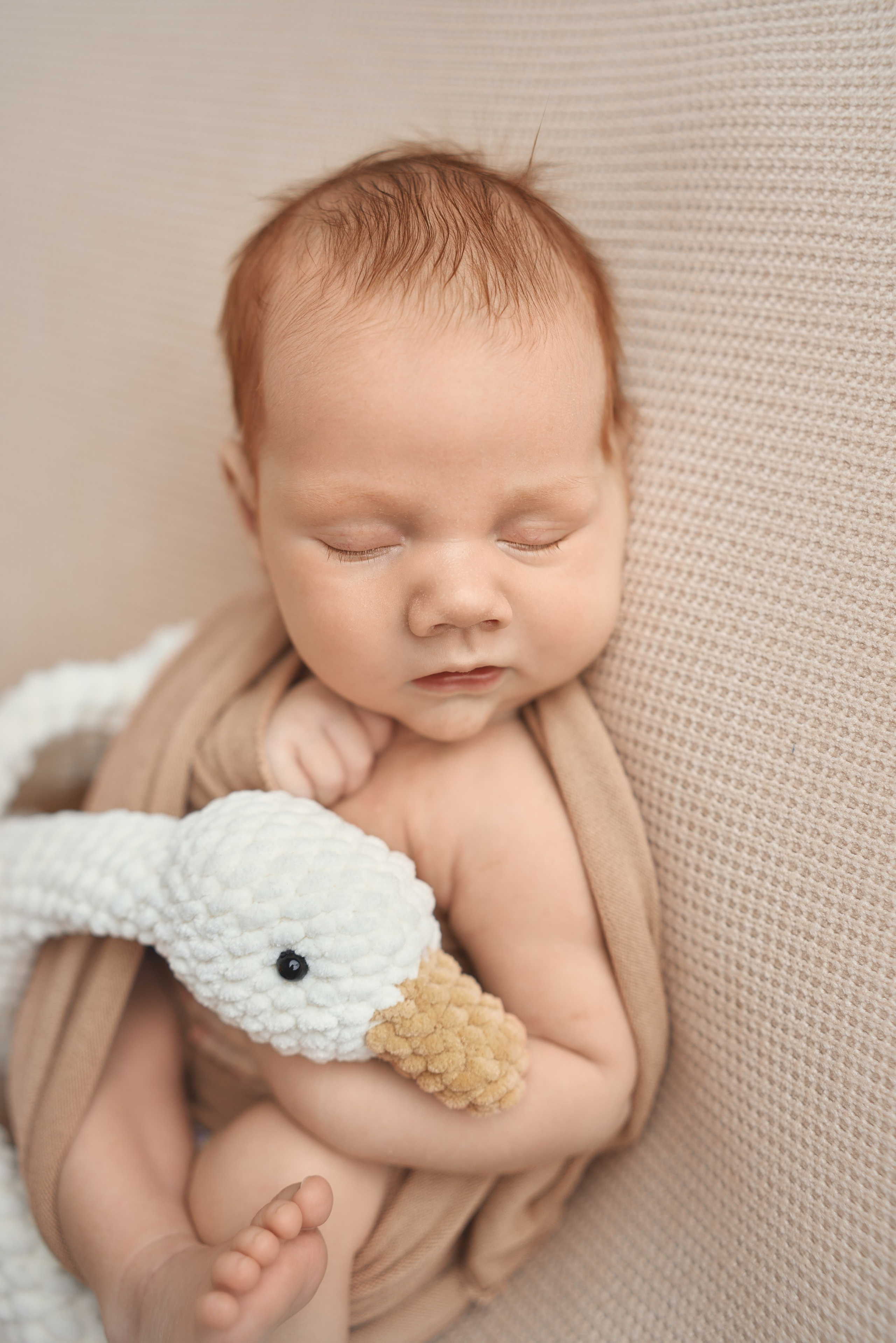 Ярослав. Фотограф новорожденных во Владивостоке Ромашко Виктория