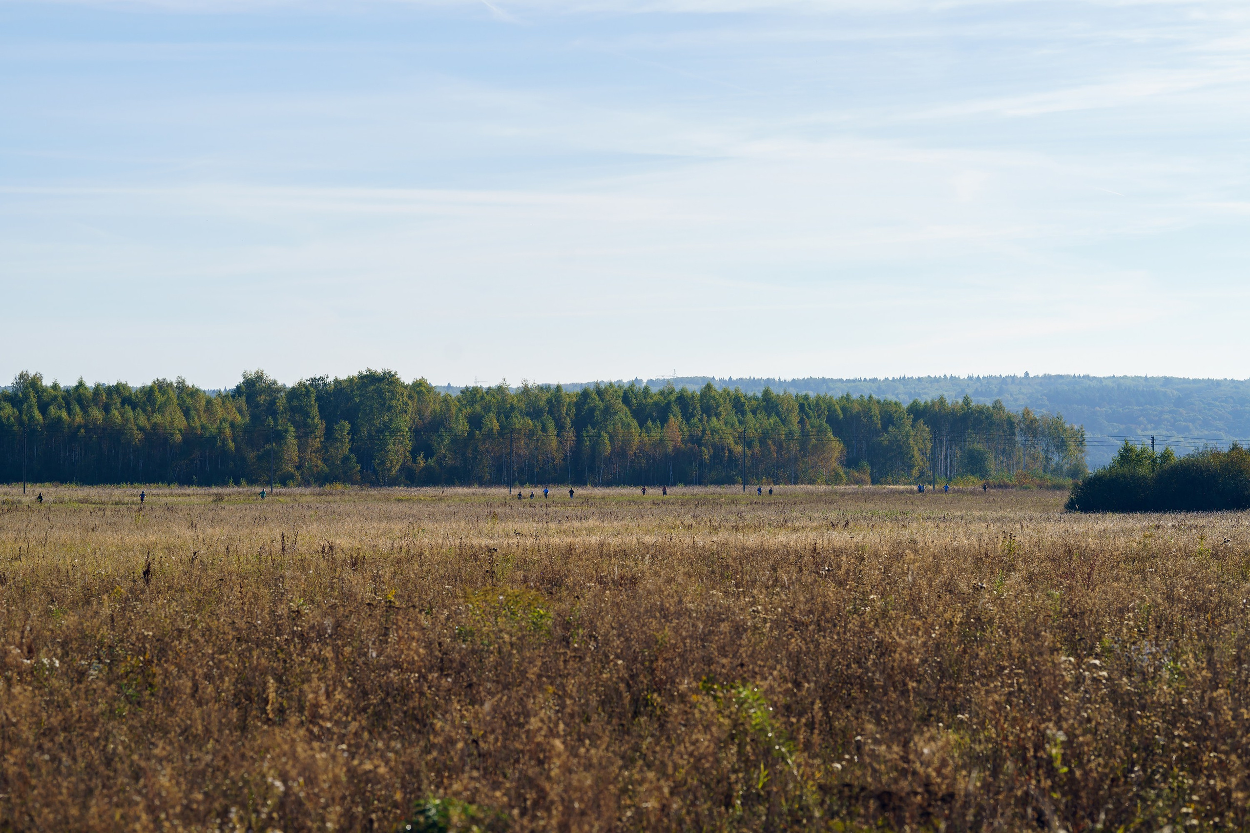 Фотографии Трейл Калужская взлётка 2024. Фотограф спортивные события, недвижимость, турбизнес