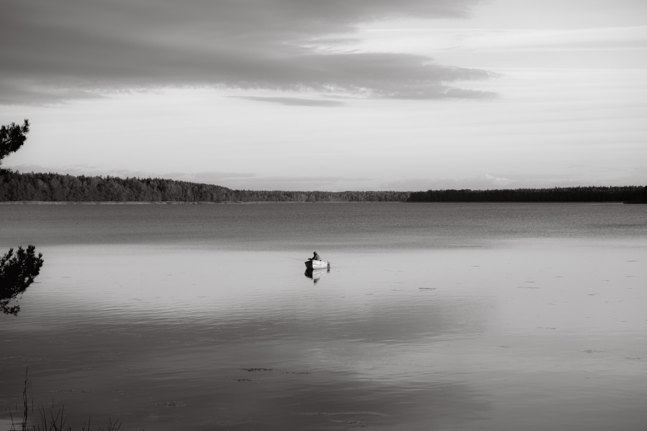 Природа (серия). Фотограф YODLUCE