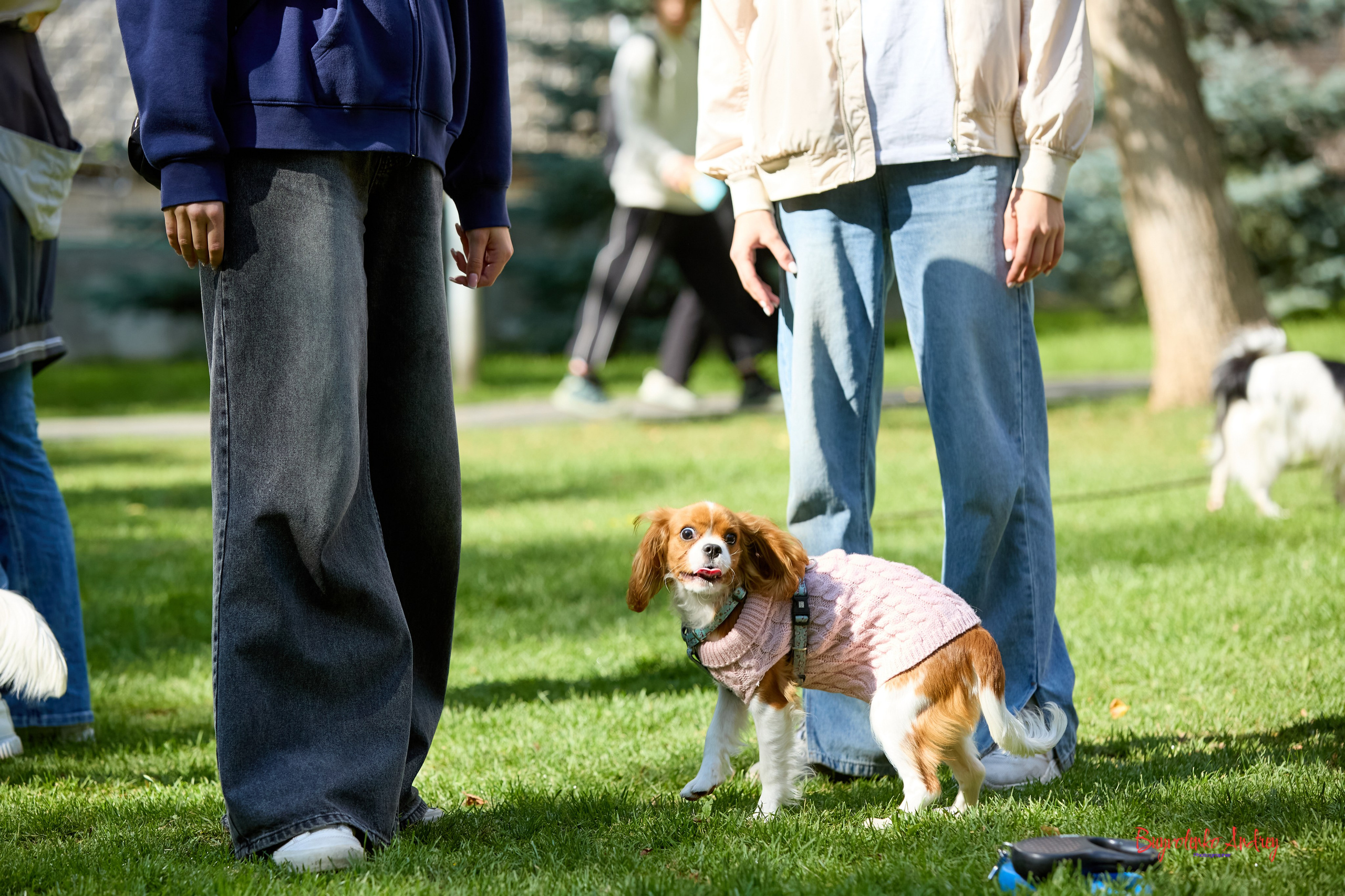 Фотопрогулка с кавалерами. Buyvolenko Andrey