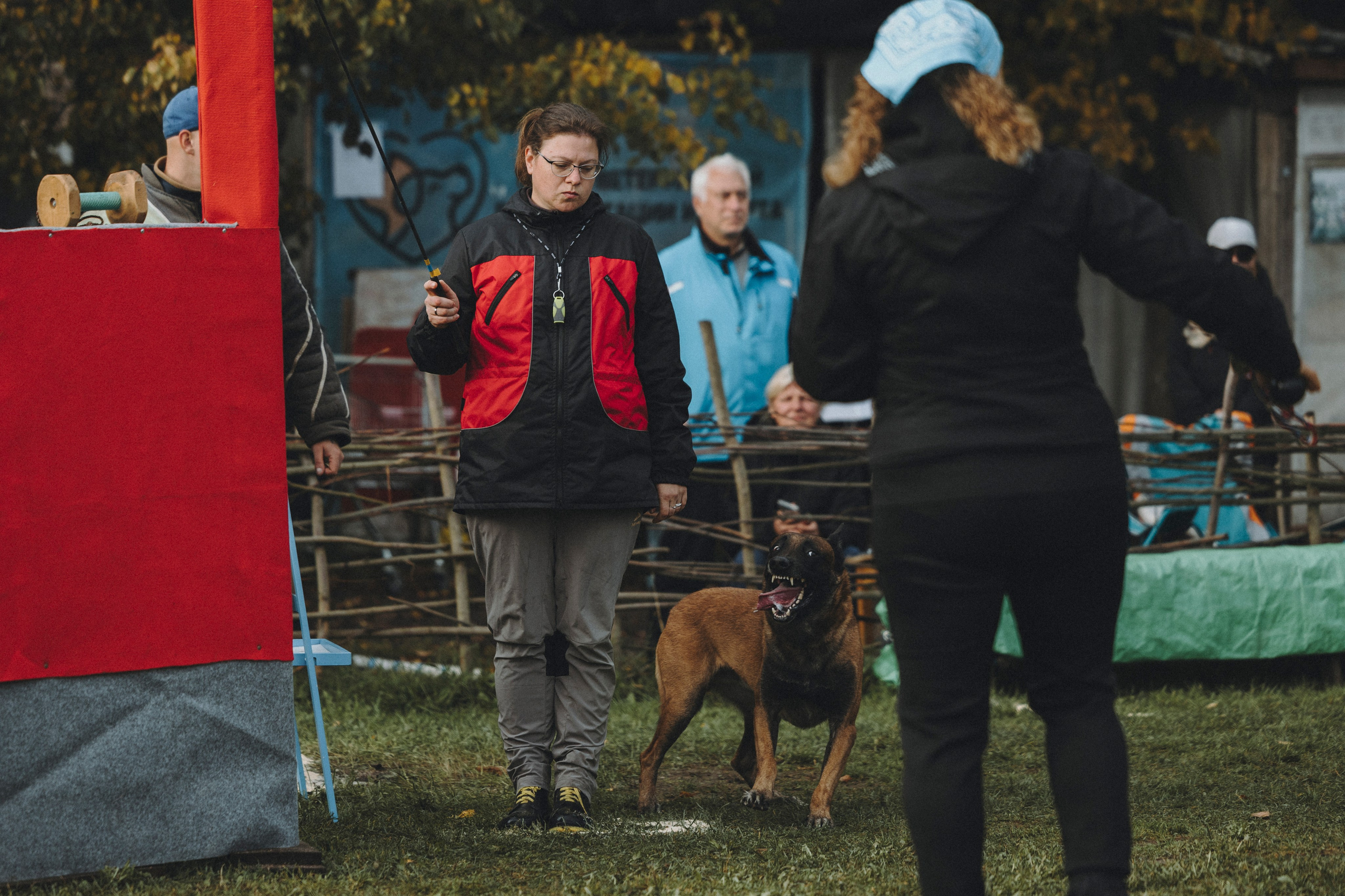 Испытания по мондьорингу г. Пушкин 29.09.2024. Фотограф-анималист Анна Маринич