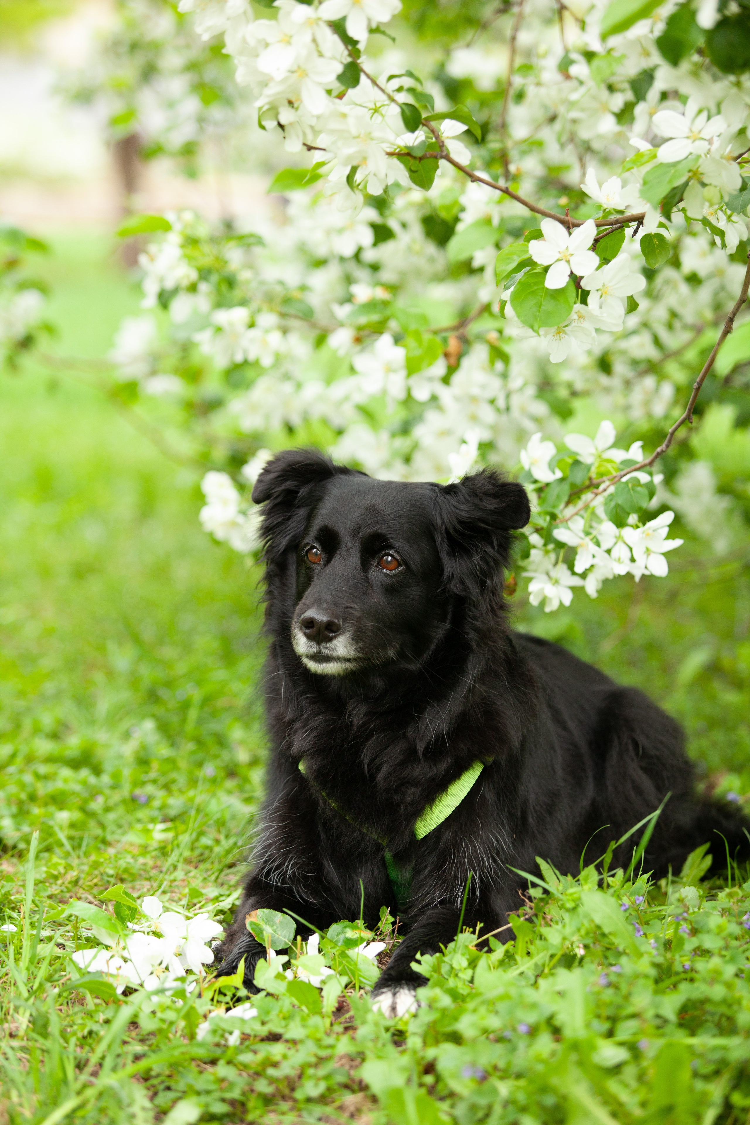 Ваши фотографии. Фотограф анималист Осипчикова Мария