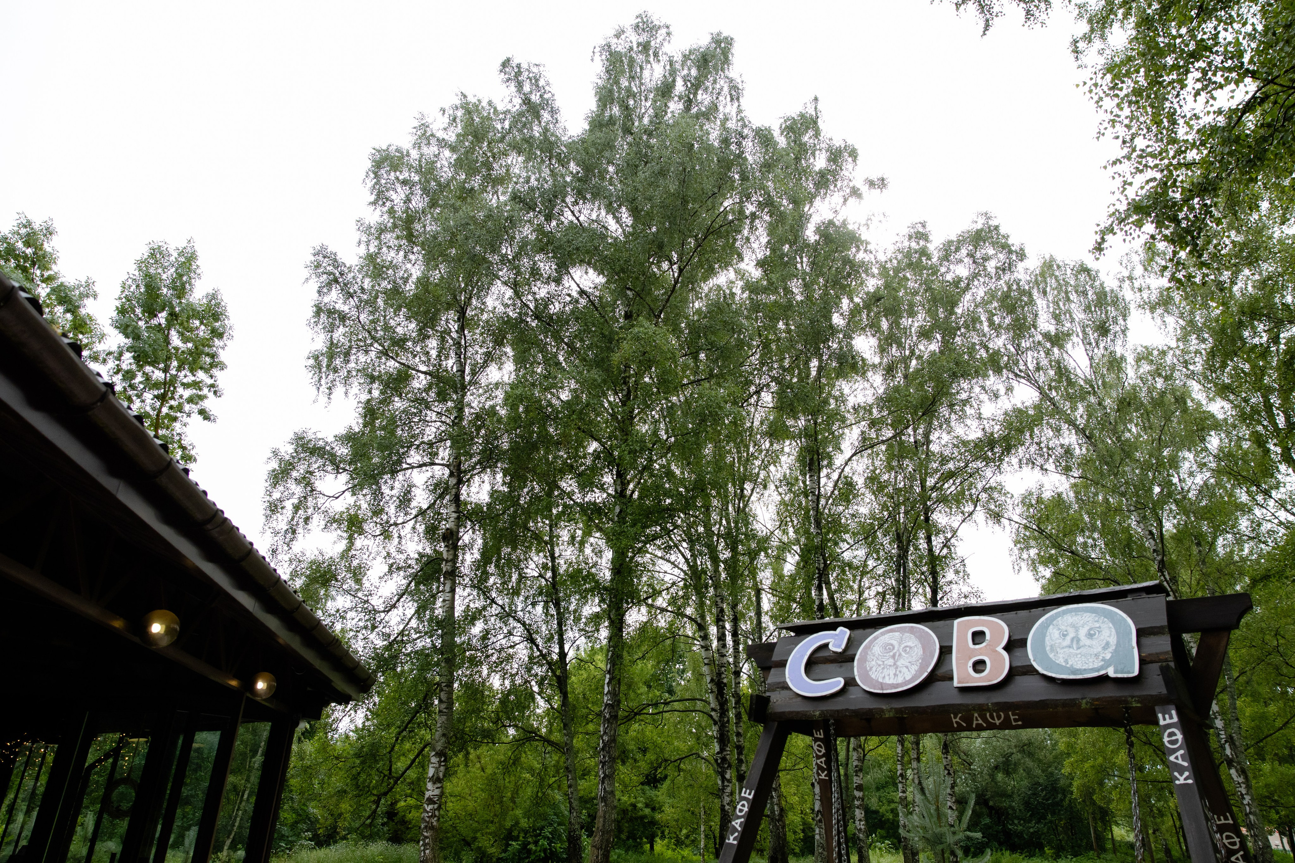 Илья и Евгения. Свадебный фотограф Анна Бабахина