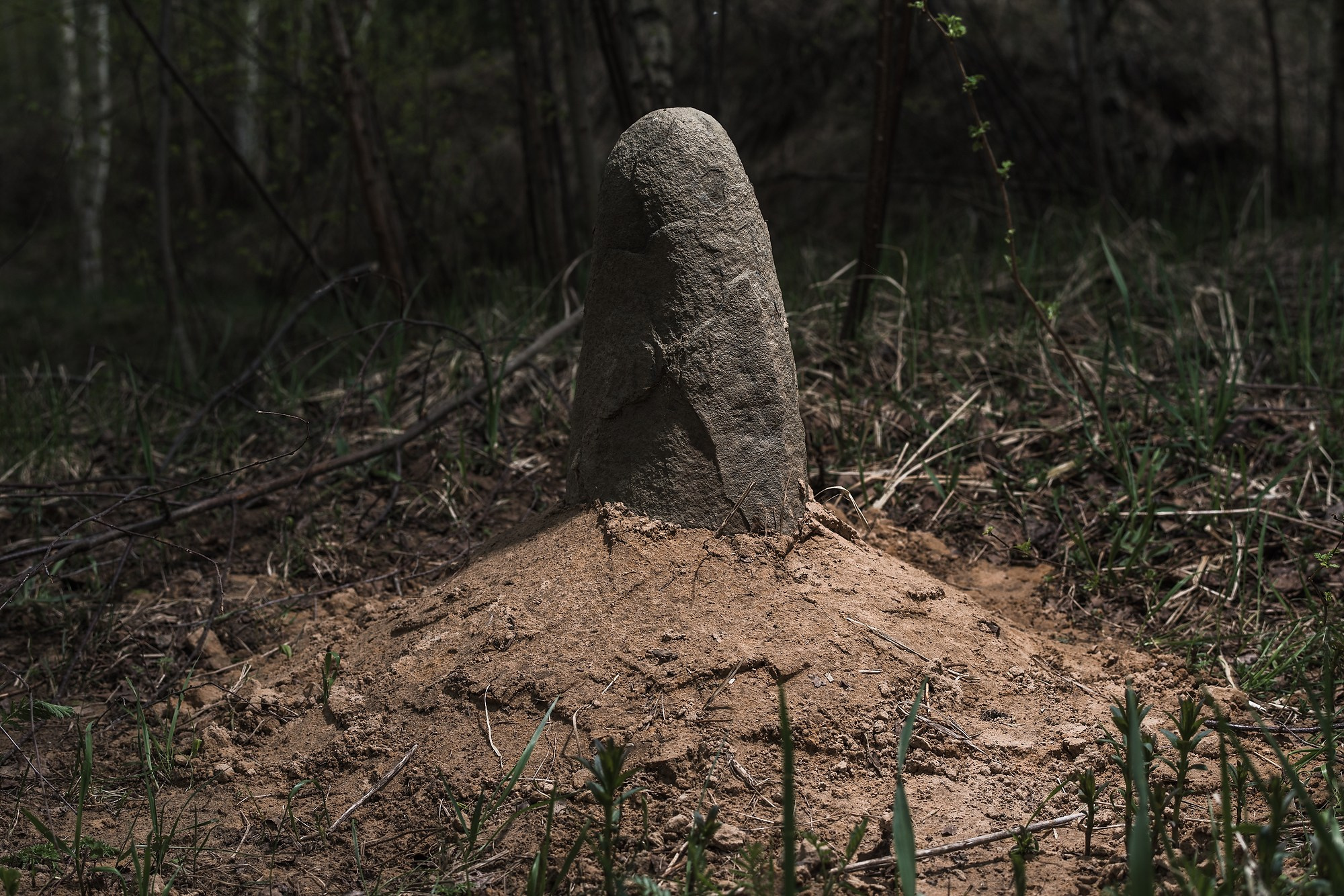 Кладбище домашних животных. Промышленная и репортажная фотография