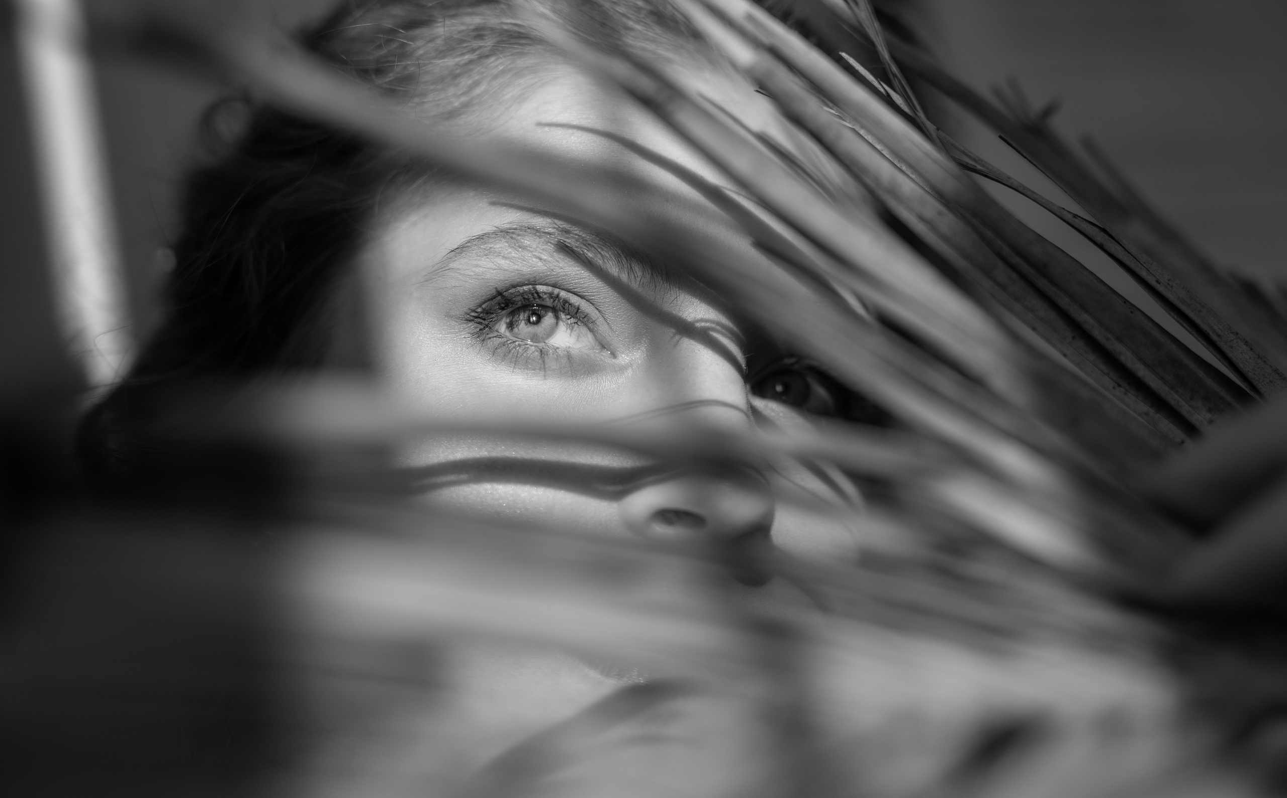 Светлана. Фотограф в Нижнем Новгороде, Дзержинске Олеся Хозяева