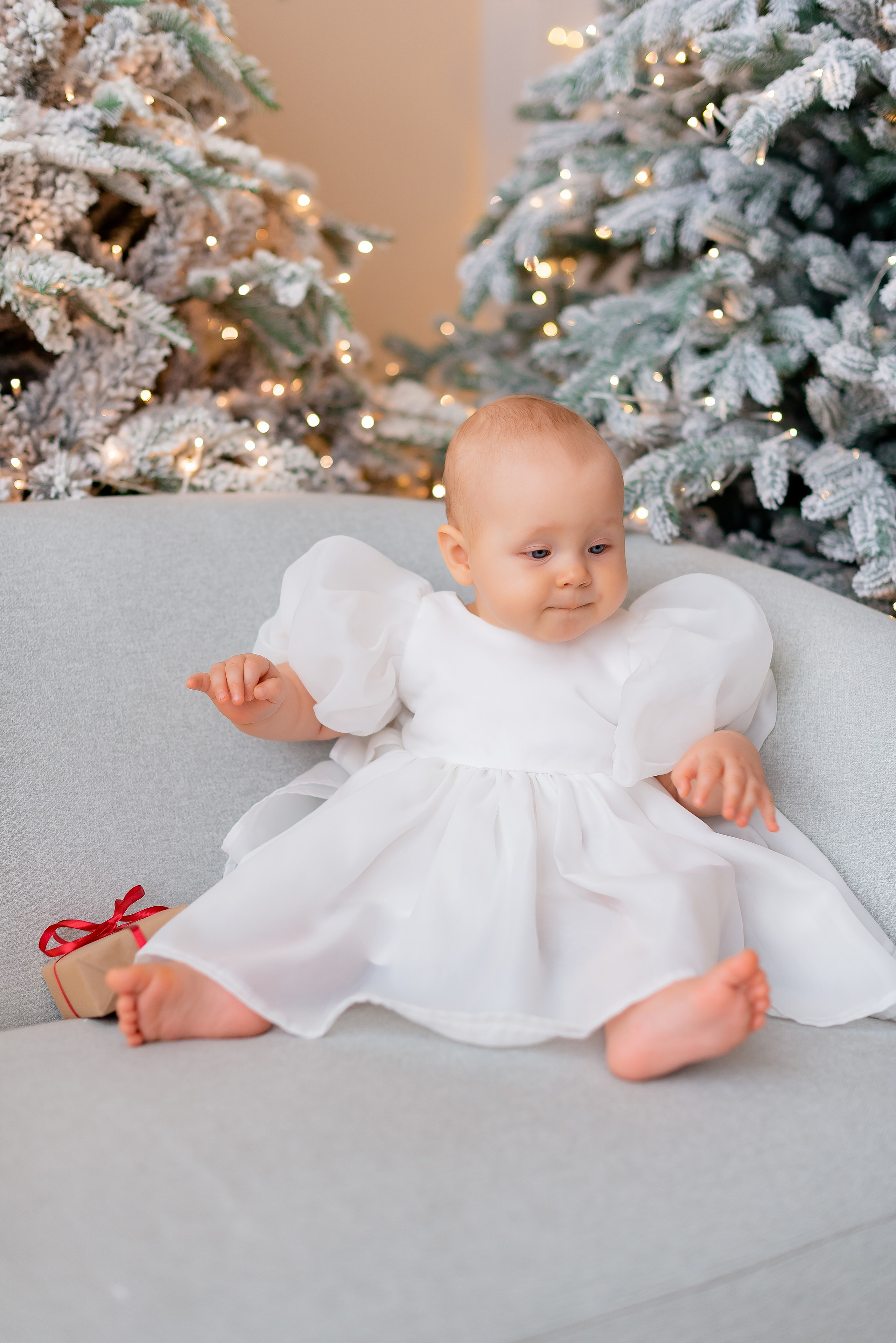 Новогодняя студия Скандибек. Фотограф Татьяна Иванчикова