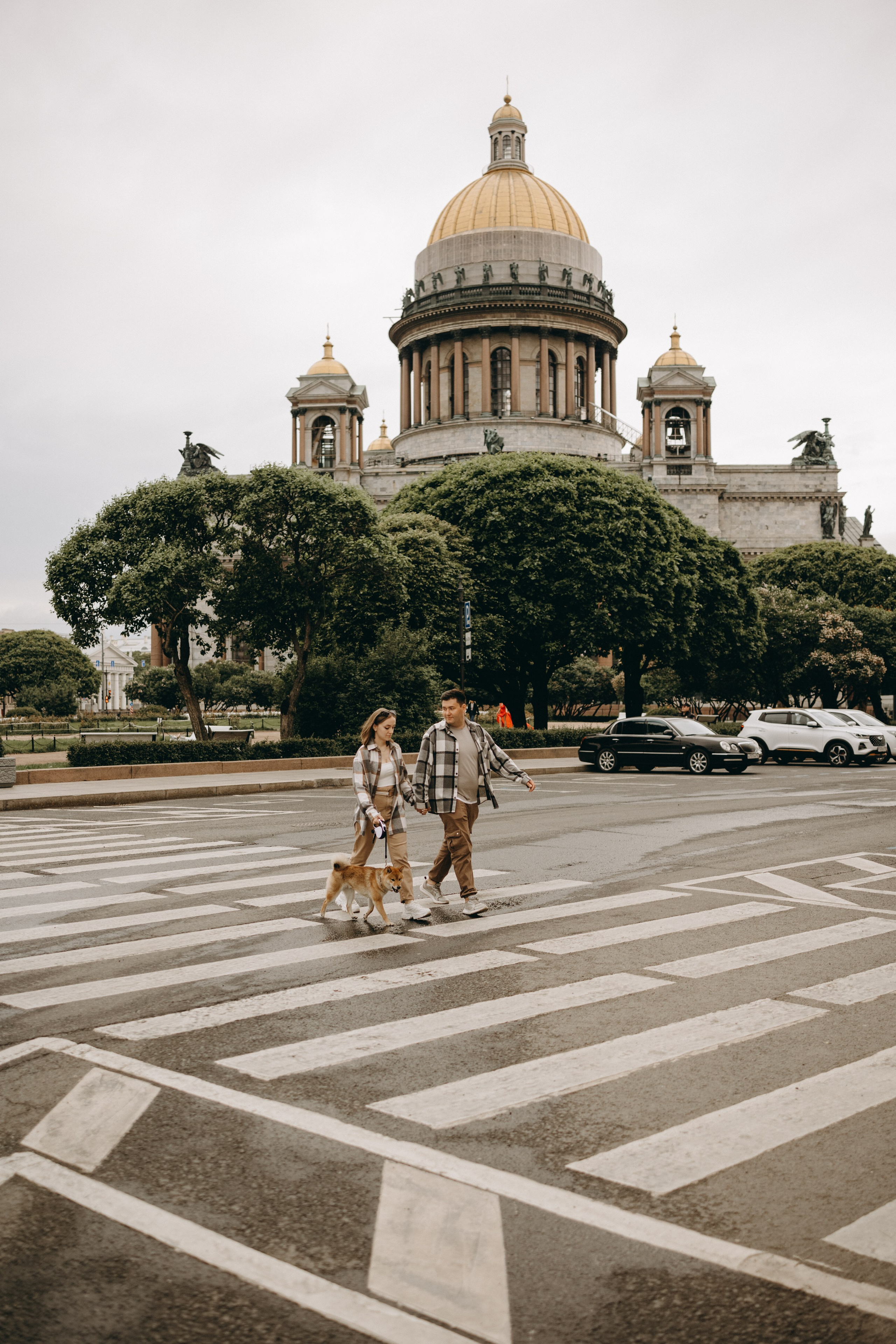 Сириус и его семья. Фотограф — Анималист | Санкт-Петербург