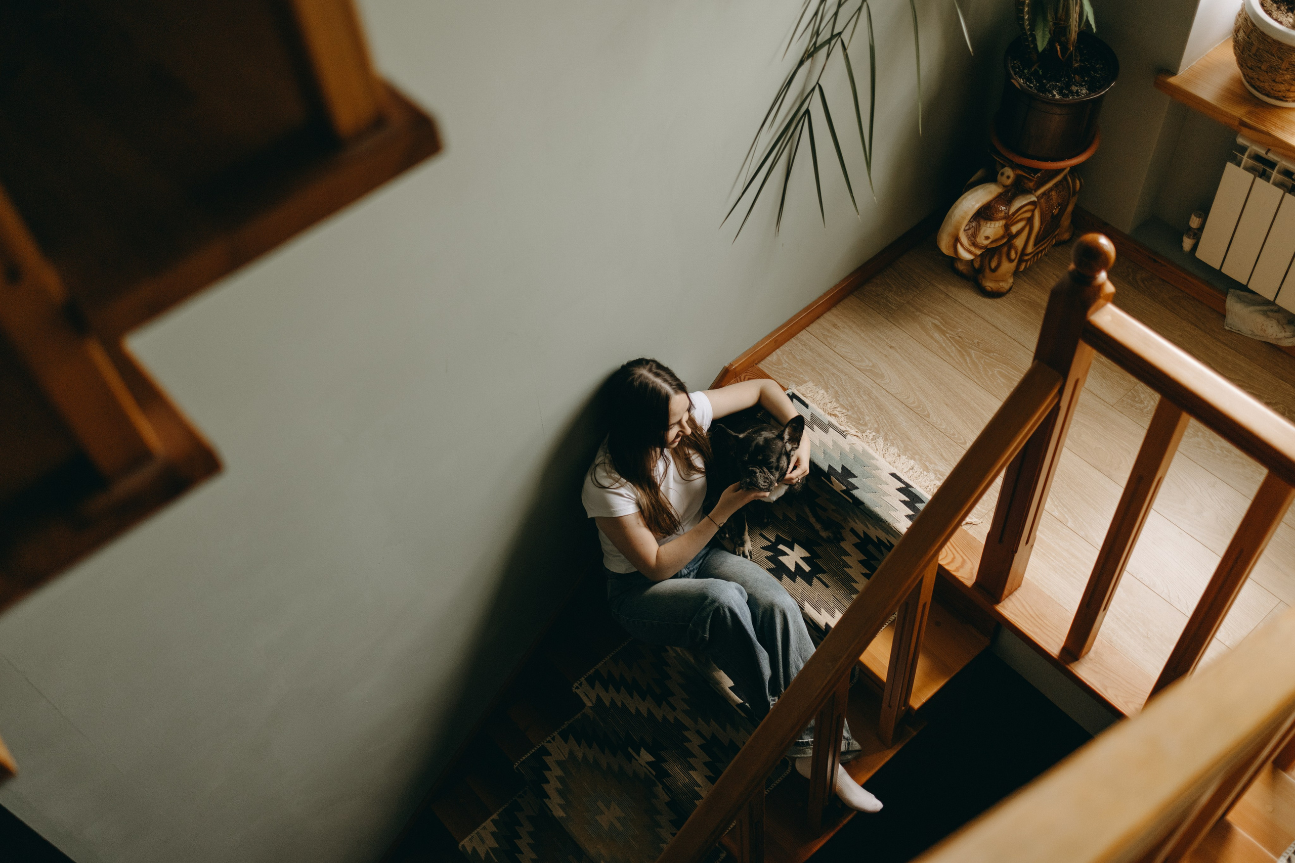 Софа и ее хвостики. Фотограф — Анималист | Санкт-Петербург