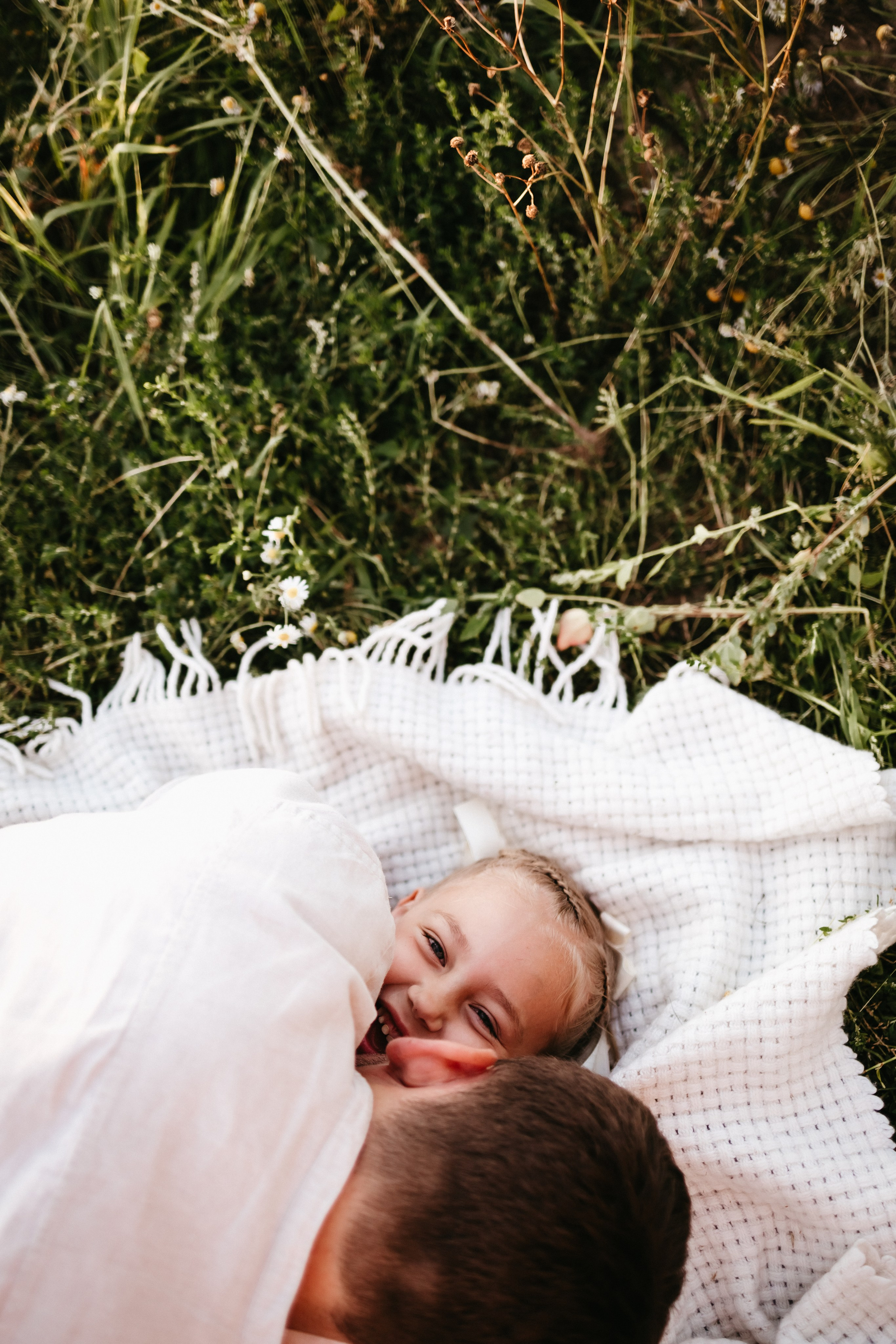 Летний вечер. Евгения Пелипас