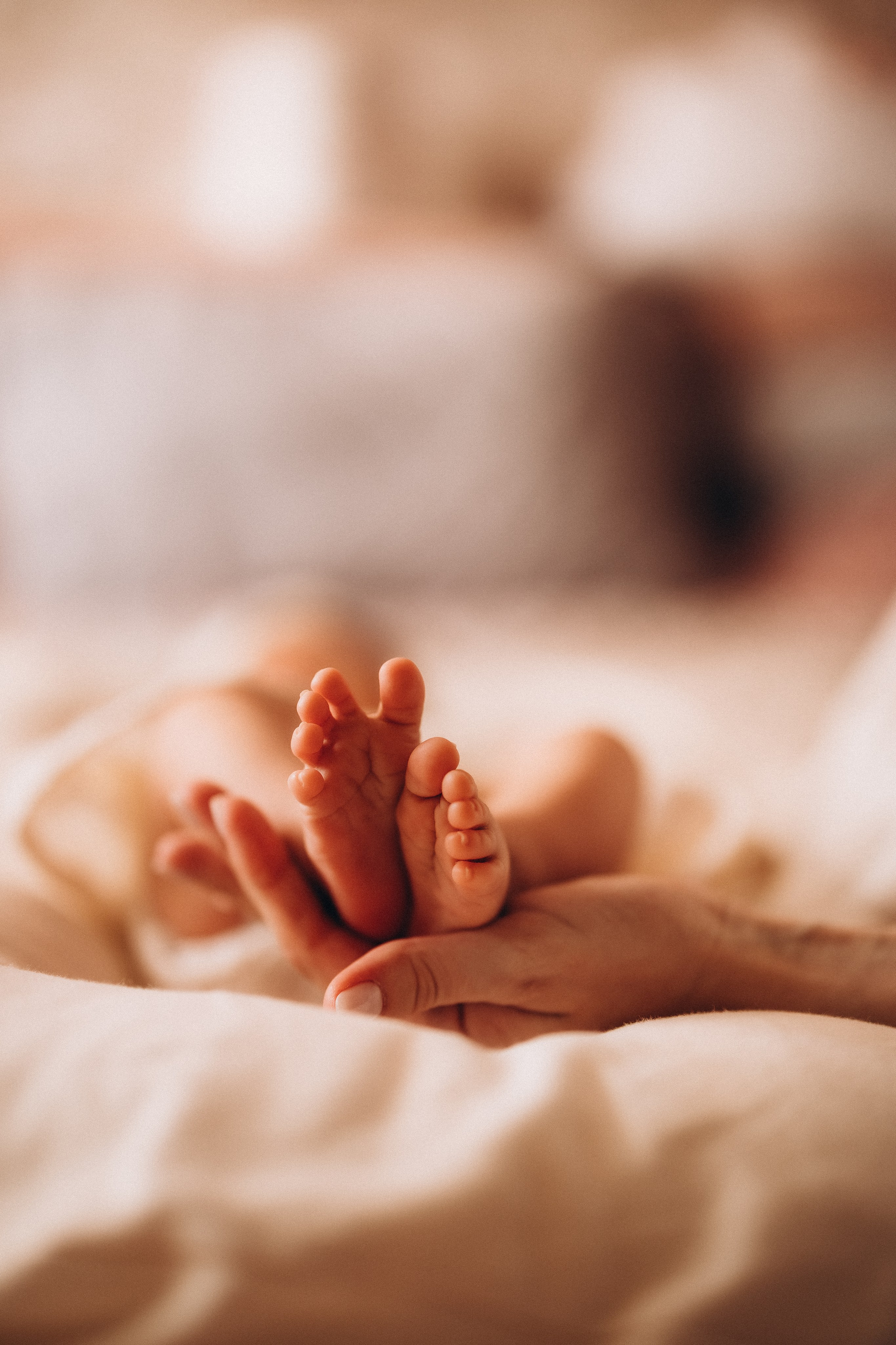 Василиса. Евгения Пелипас