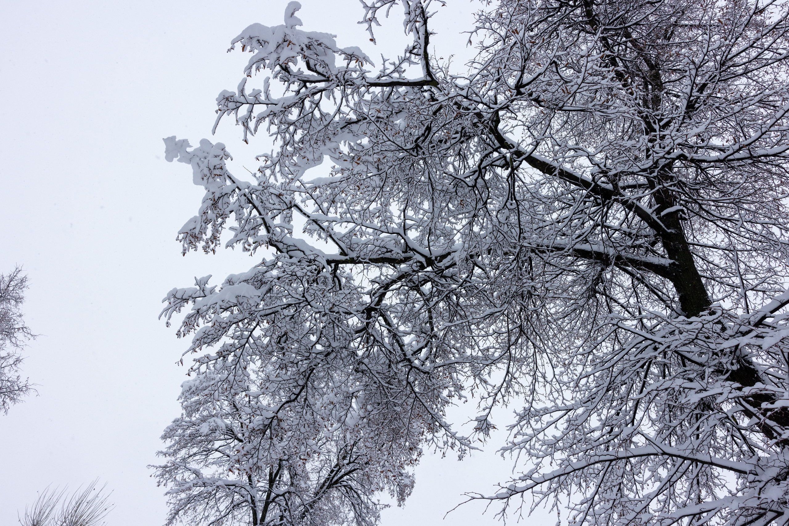 Тульский кремль после снегопада 16 декабря 2022 года. Фотограф в Туле Крупский АнДРей. Фотостудия «КАДР71» в Туле