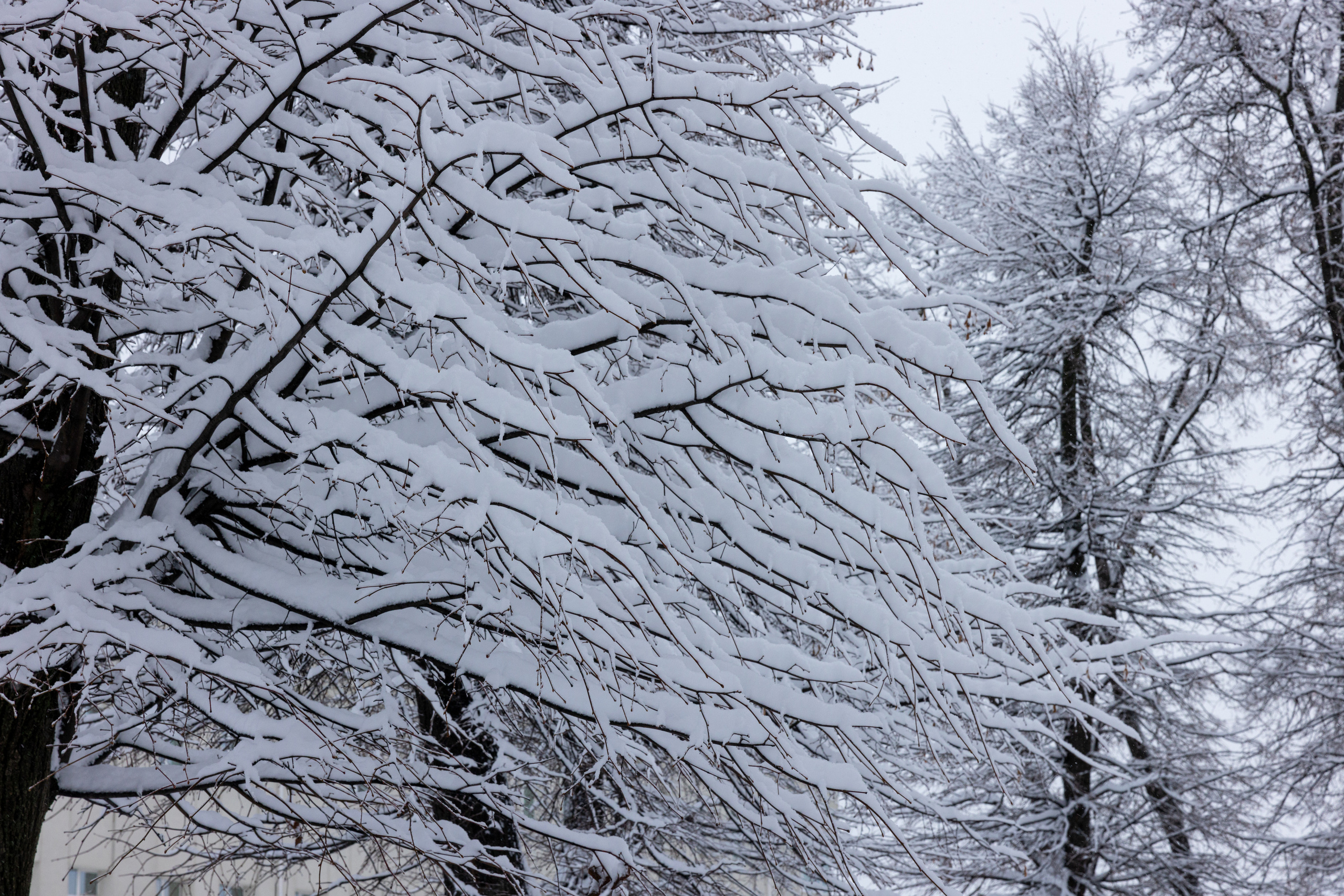 Тульский кремль после снегопада 16 декабря 2022 года. Фотограф в Туле Крупский АнДРей. Фотостудия «КАДР71» в Туле