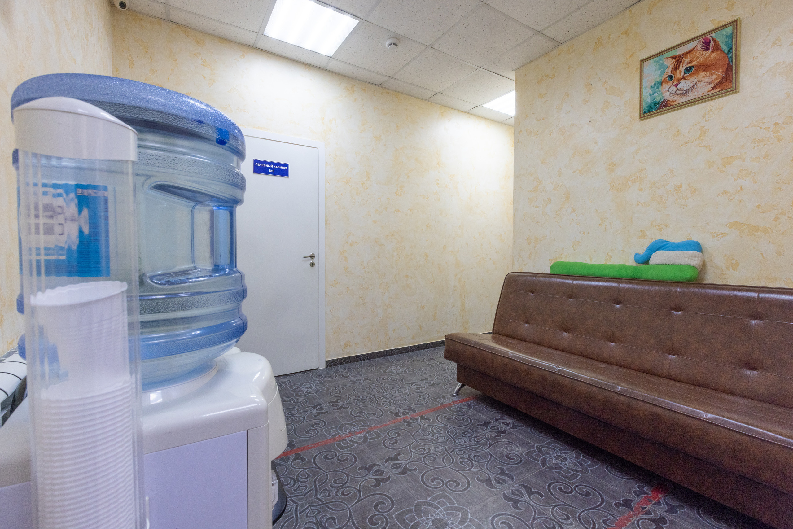 Интерьерная фотосъемка для стоматологии Радуга. Фотограф в Туле Крупский АнДРей. Фотостудия «КАДР71» в Туле