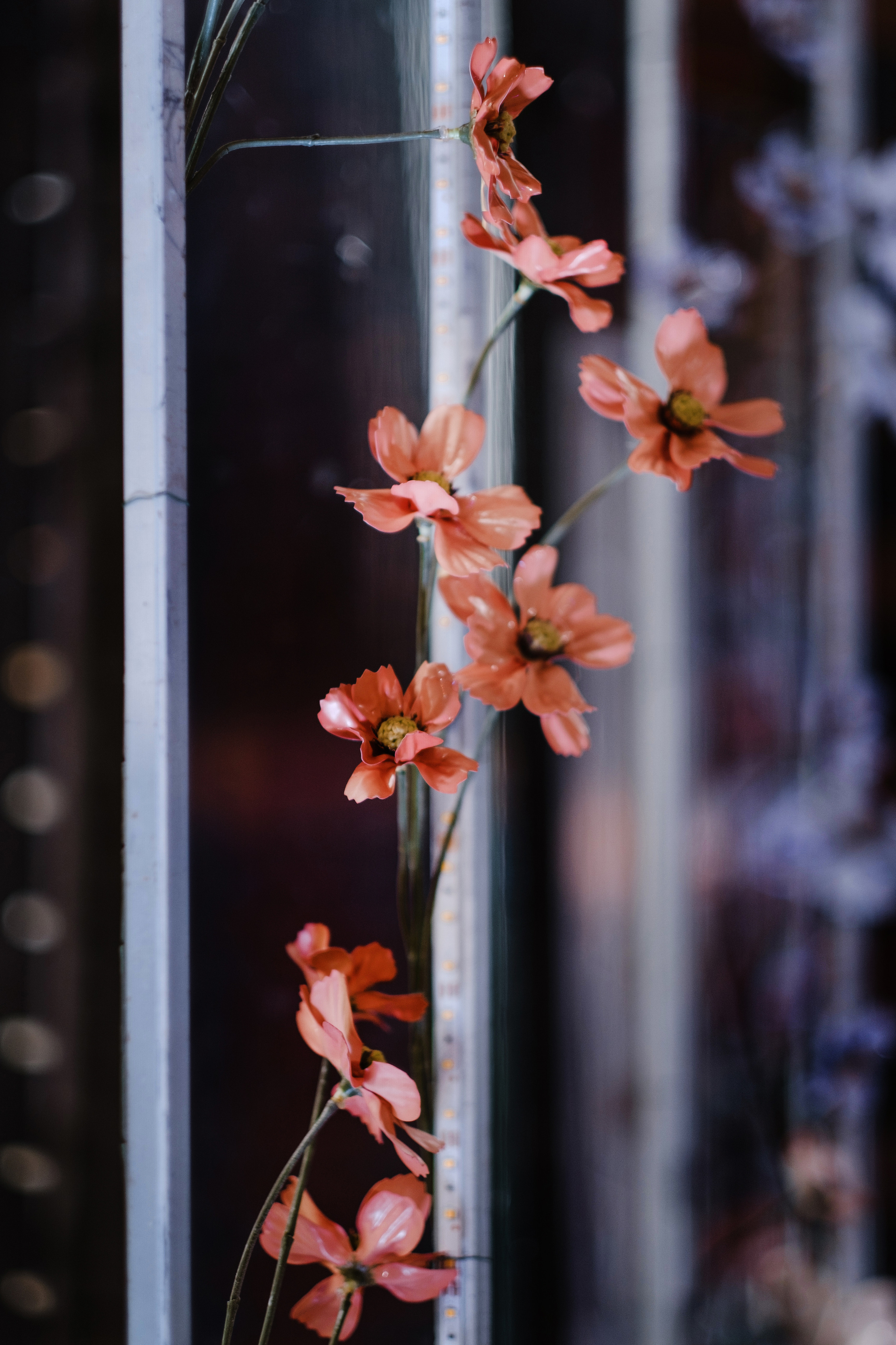 Саша и Лера. Свадебные фотосессии в Москве. Фотограф Сергей Ржевский