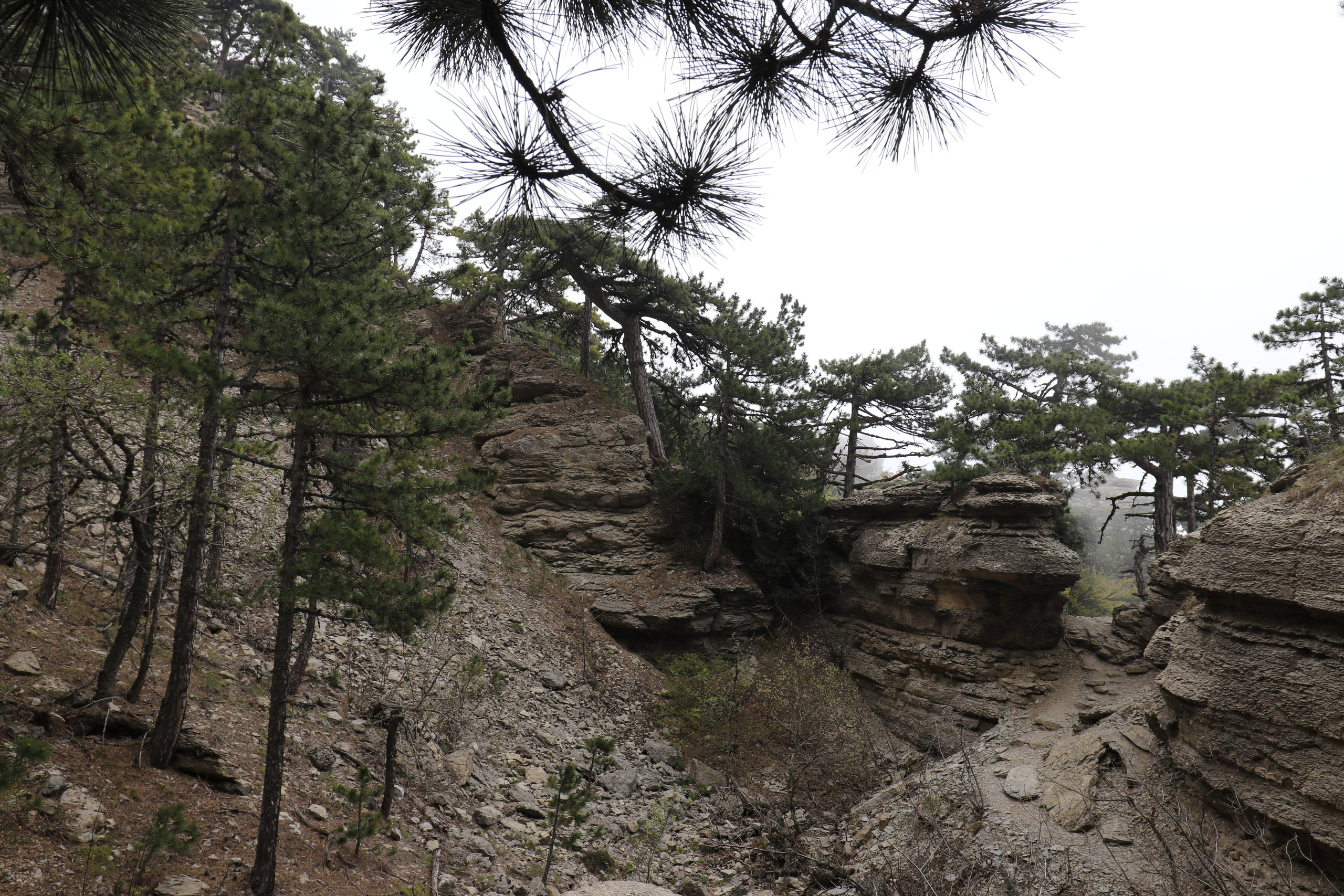 Крым. ЮБК (Бахчисарай, Демерджи, Судак). Первый скалолазный выезд. Май 2019. Путешественник-фотограф из Санкт-Петербурга Татьяна Свистулина