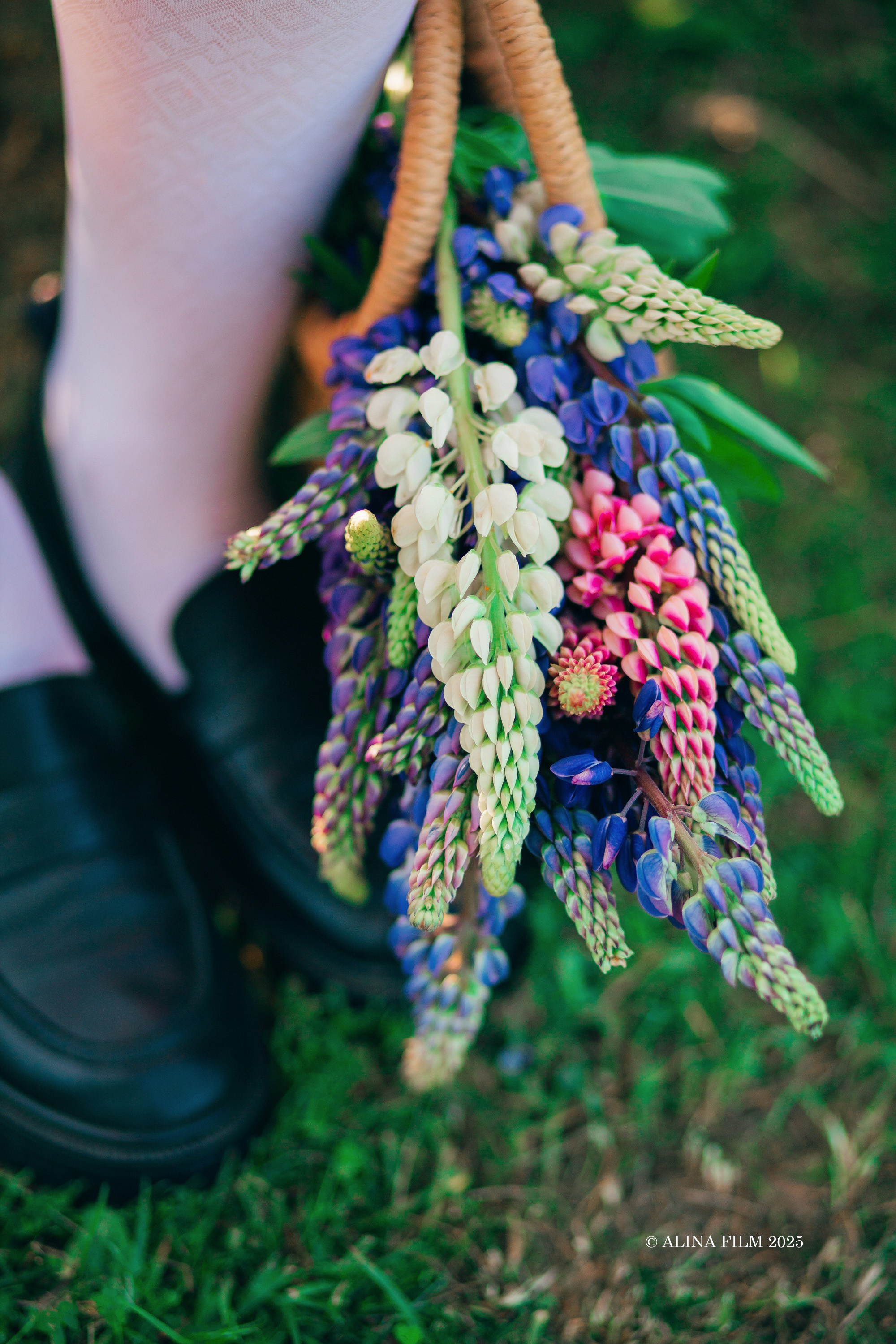 Фотосессия в Люпинах (Ленобласть, Сертолово). Фотограф в Санкт-Петербурге Alina Film