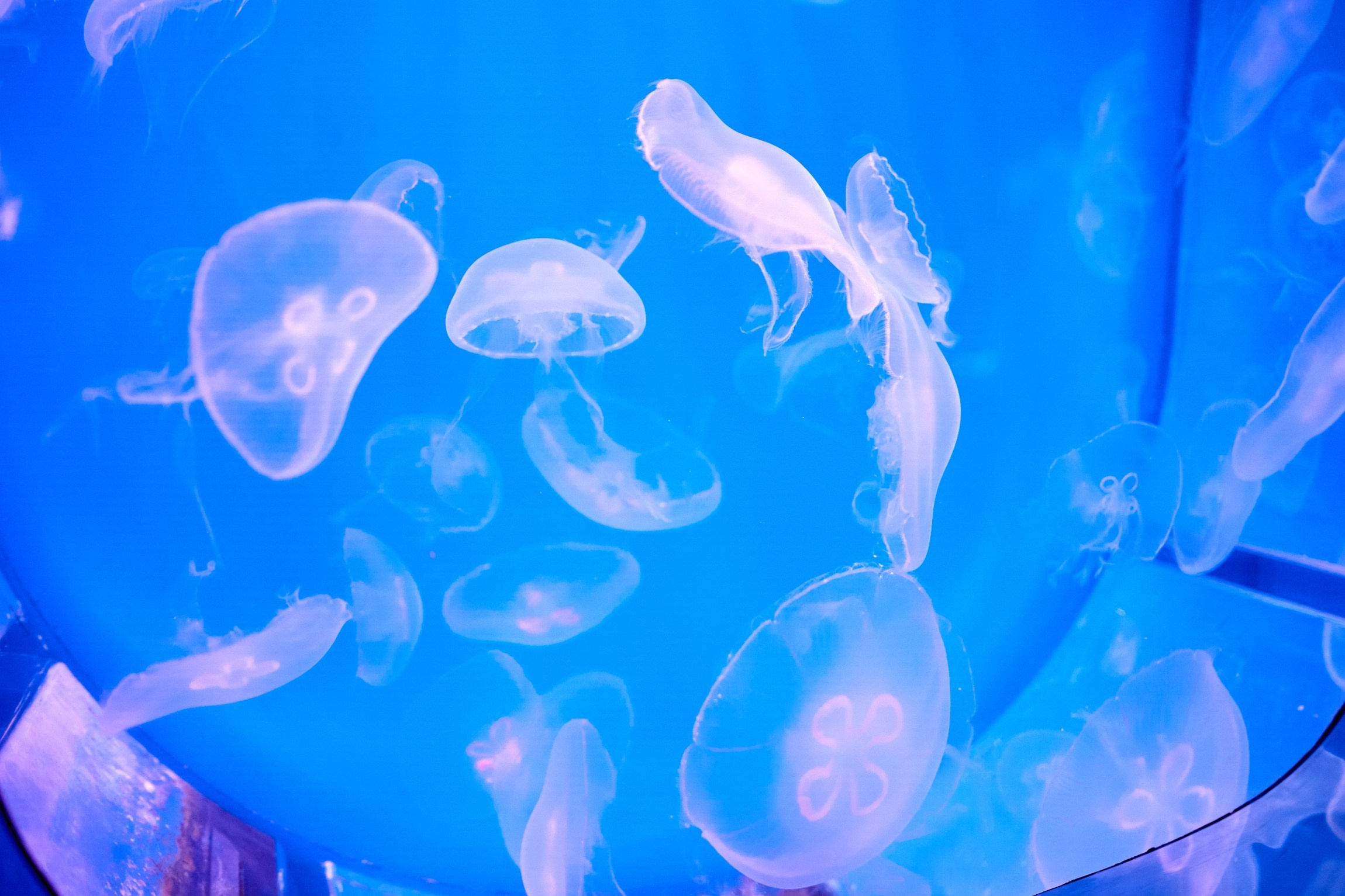 Университетские смены 2025. Репортажный и студийный фотограф во Владивостоке Дударева Софья