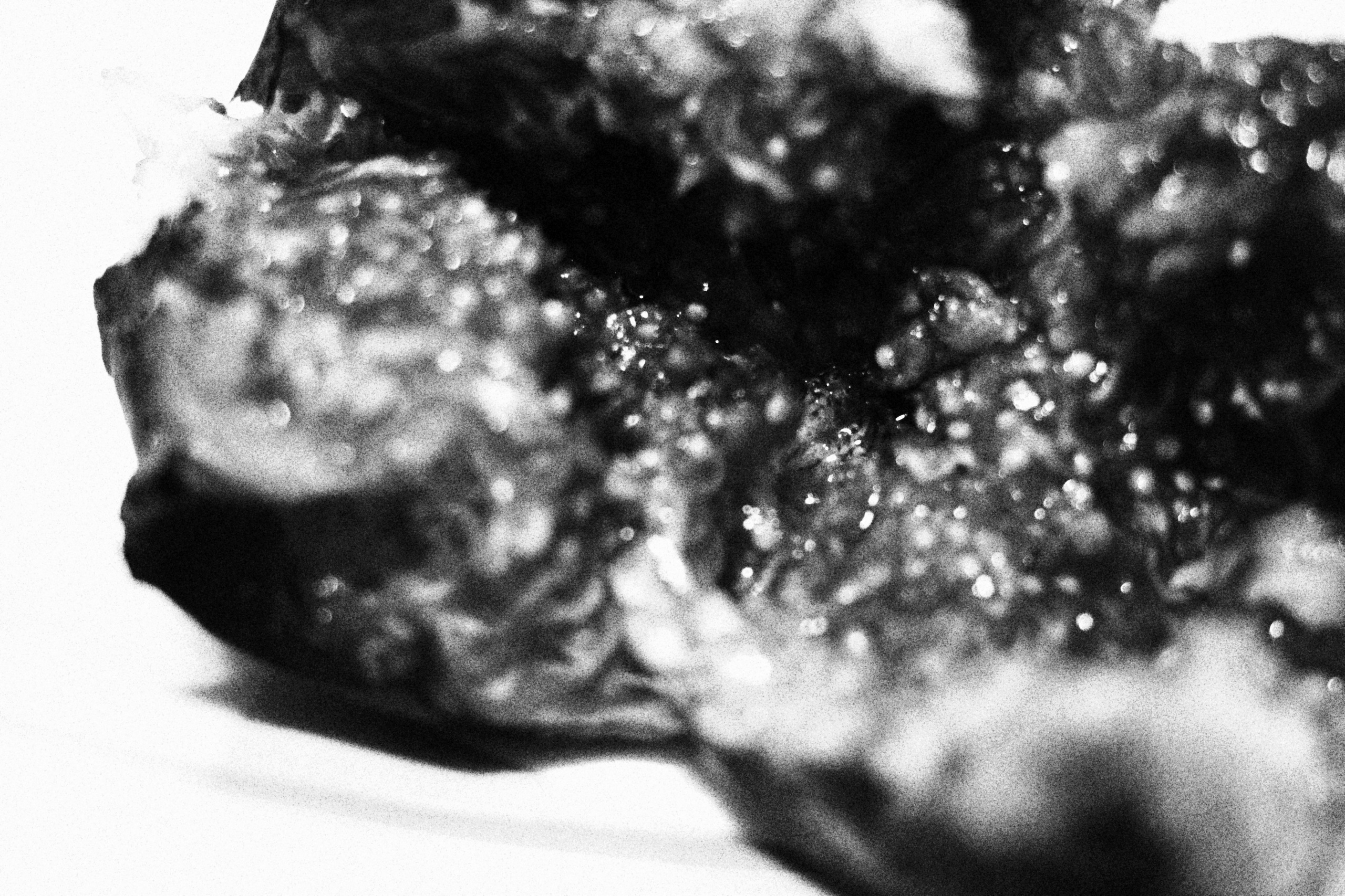 черно-белая фотография