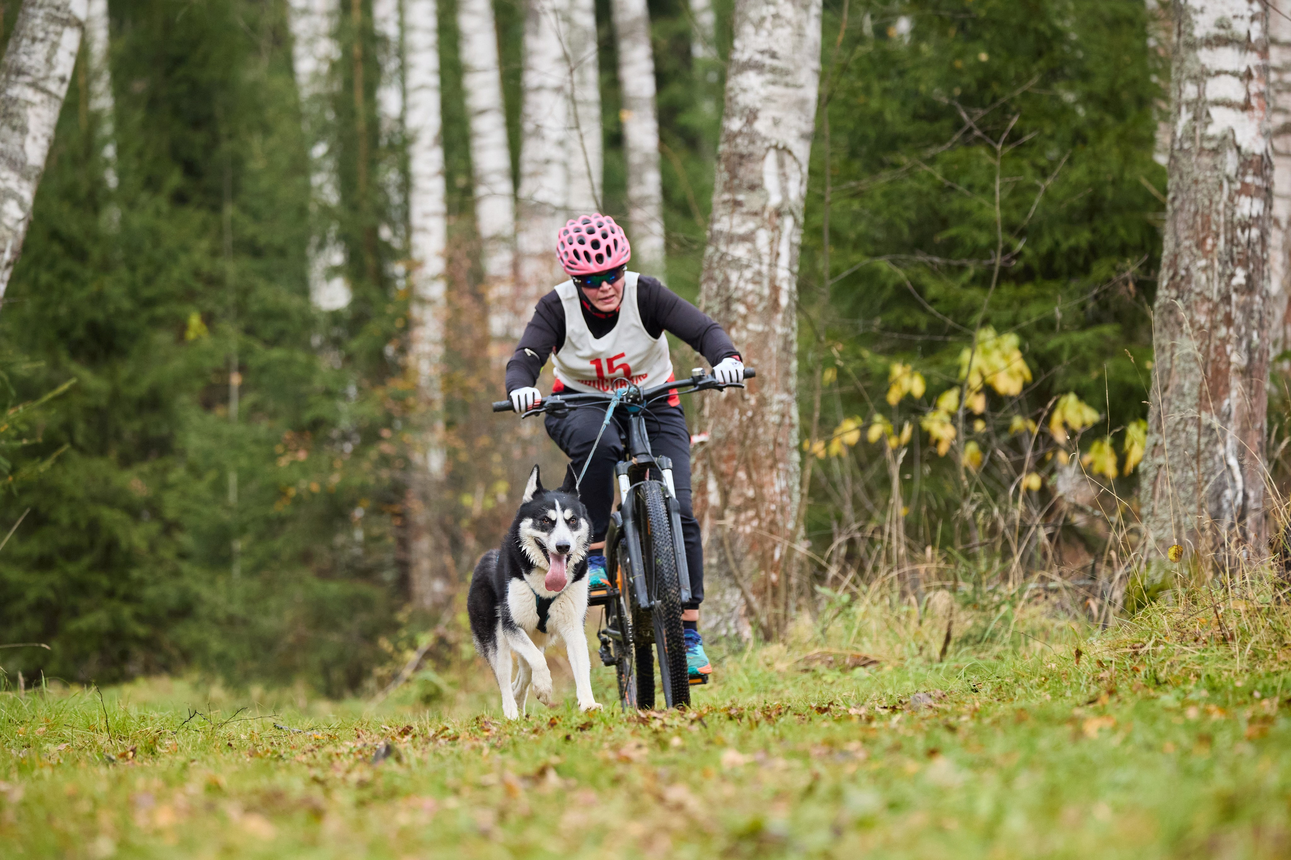 Чемпионат по ЕС Ярославской области. Фотограф Ирина Астор