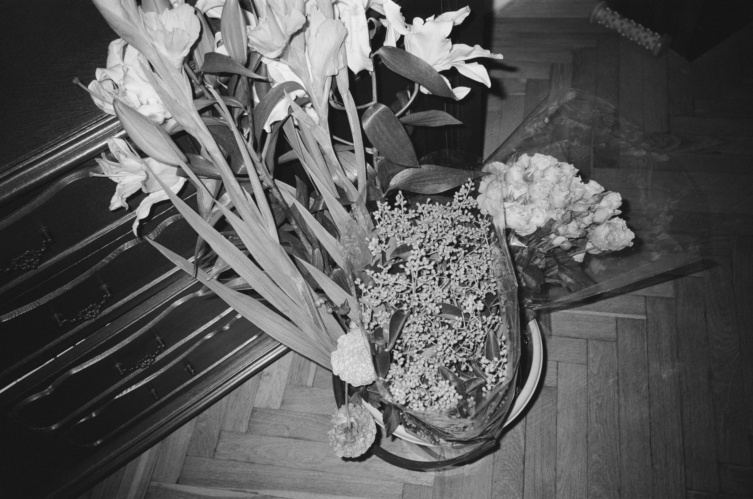 Letter for my future wife. Daria Blinova