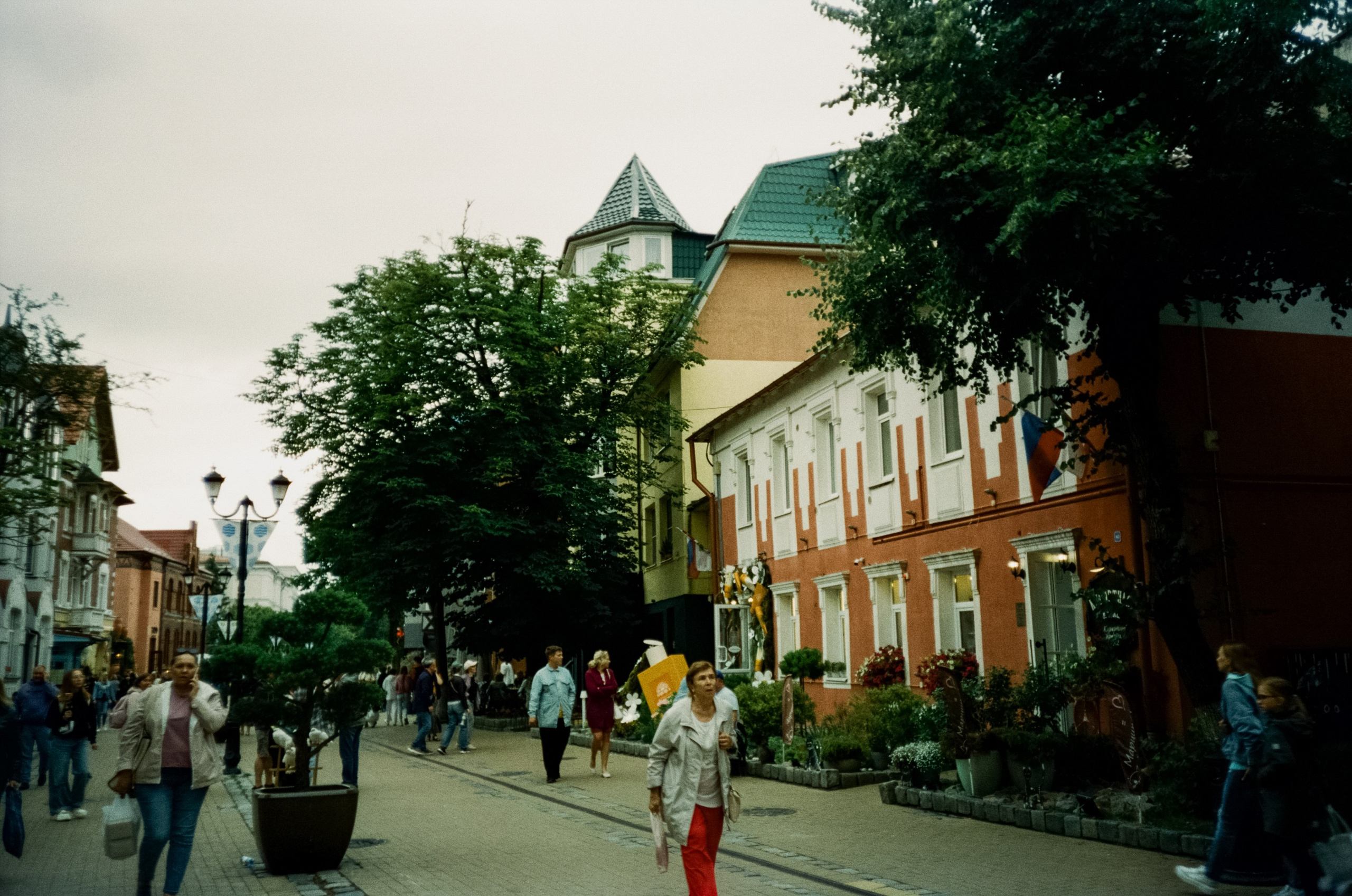 Курортный проспект и коты Зеленоградска, маяк и Safe Coffee. Фотограф-документалист Мария Осокина