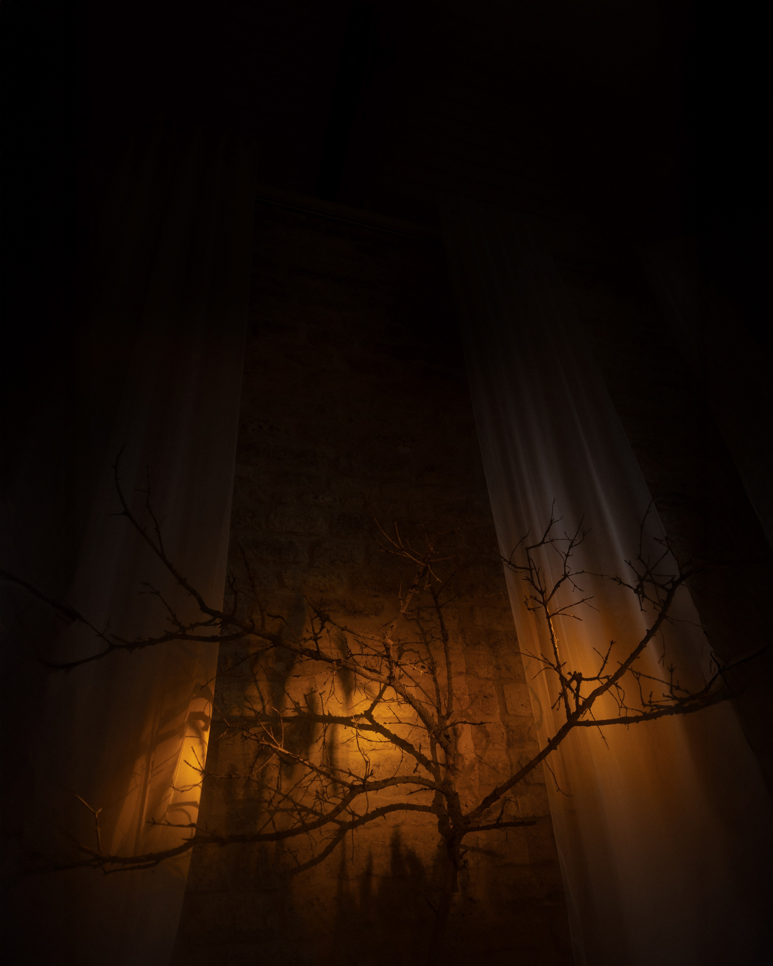 Лебеди. Свадебный фотограф Воронеж Москва СПБ