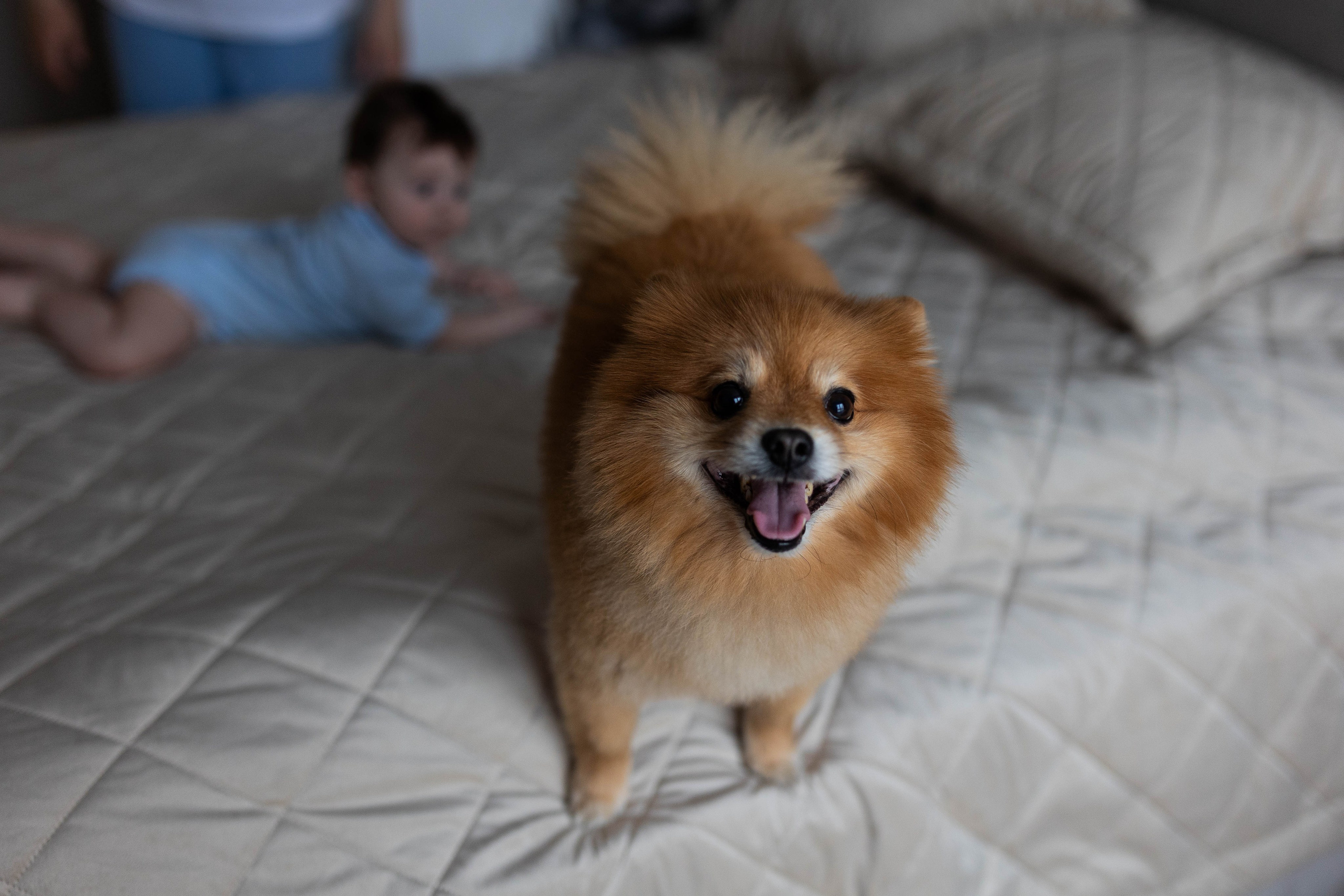 Свадебный и семейный фотограф в Москве Вероника Сычева