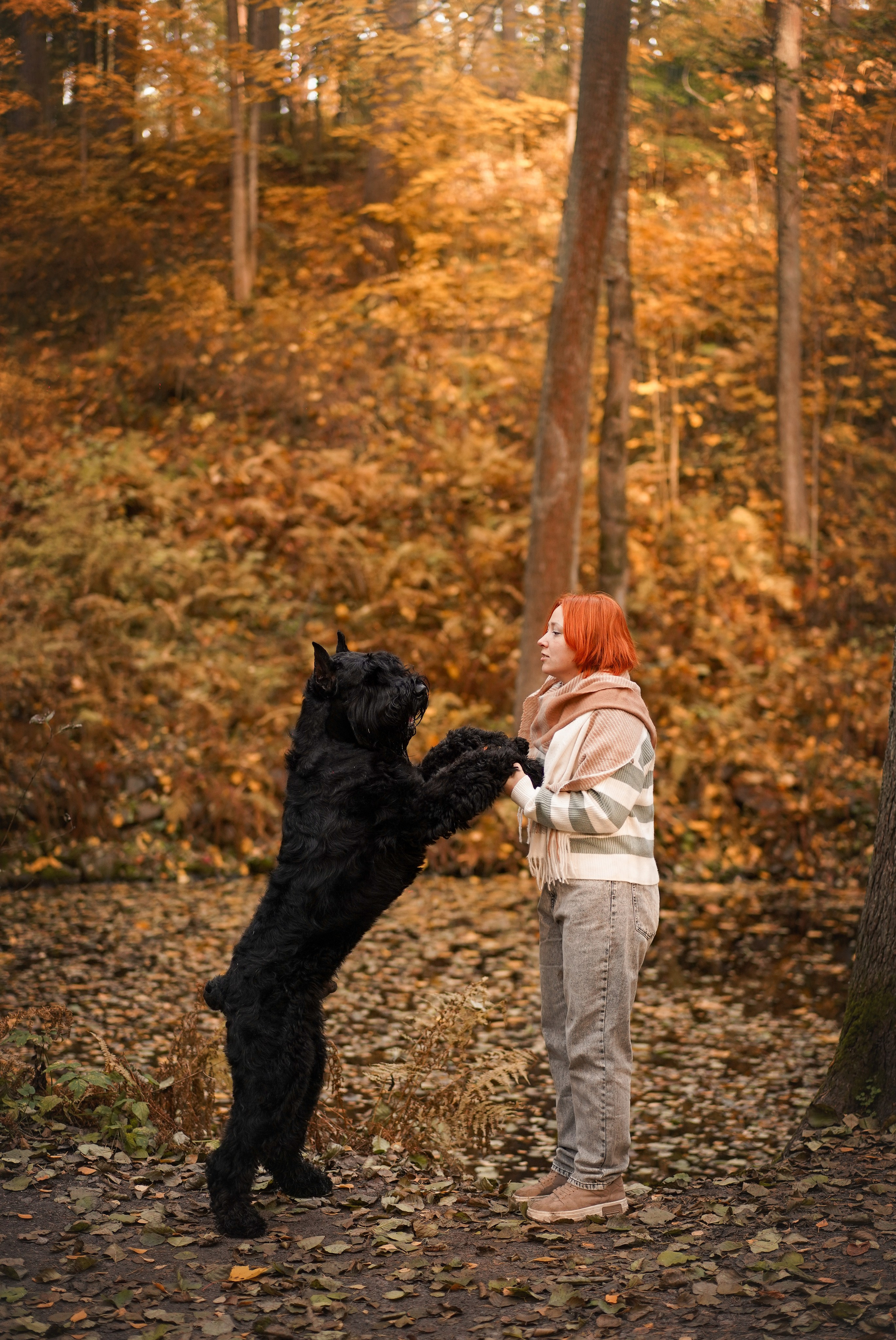 Оля Миша и шнауцеры. Фотограф-анималист в Санкт-Петербурге Яна Мартынова