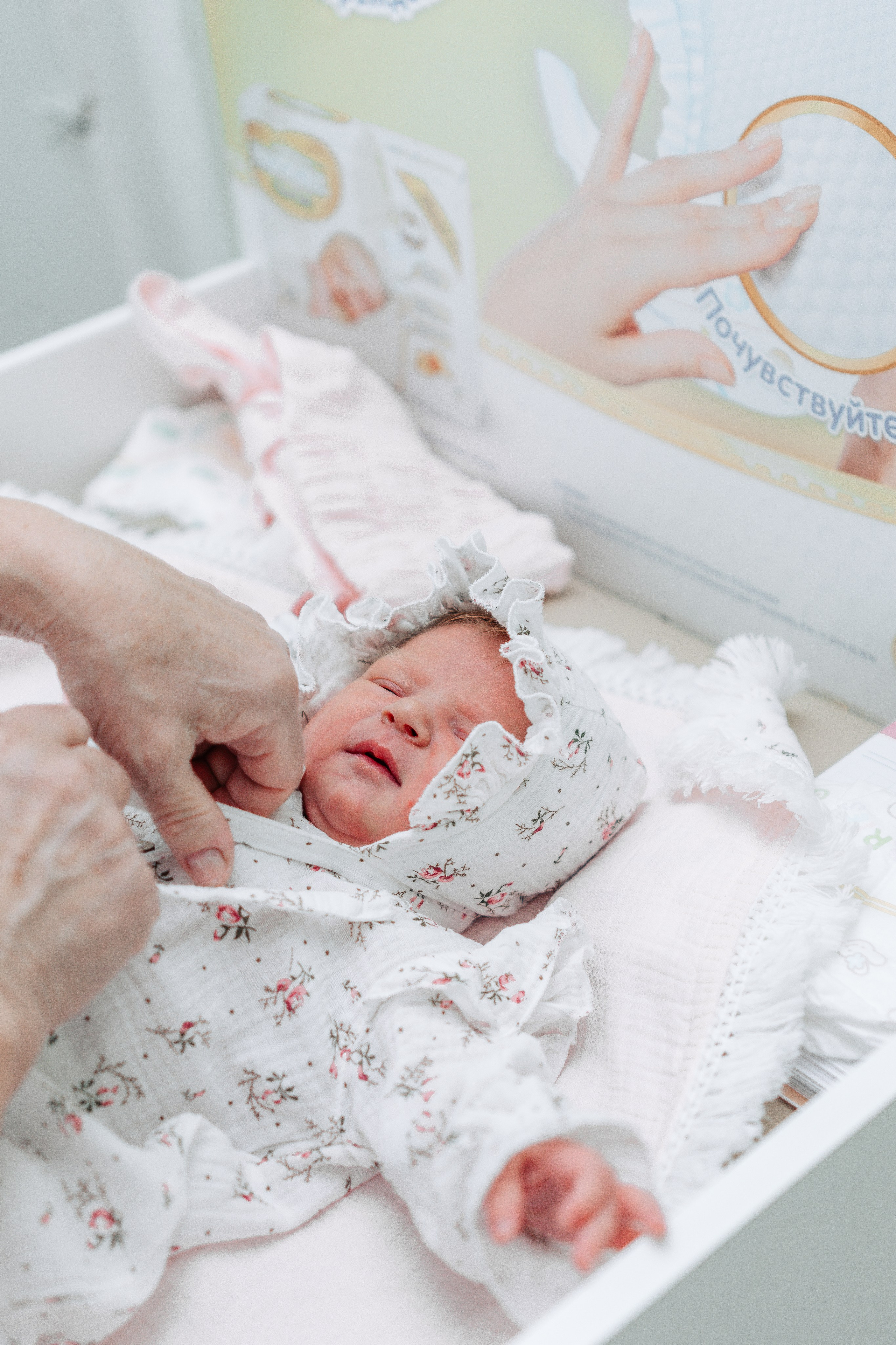 Выписка из РОДДОМА