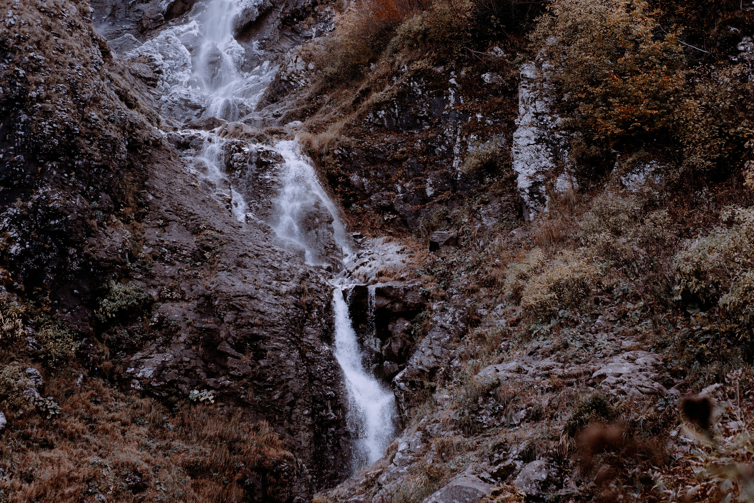 Autumn Wallpapers. Портретный фотограф в Москве Даша Беседина