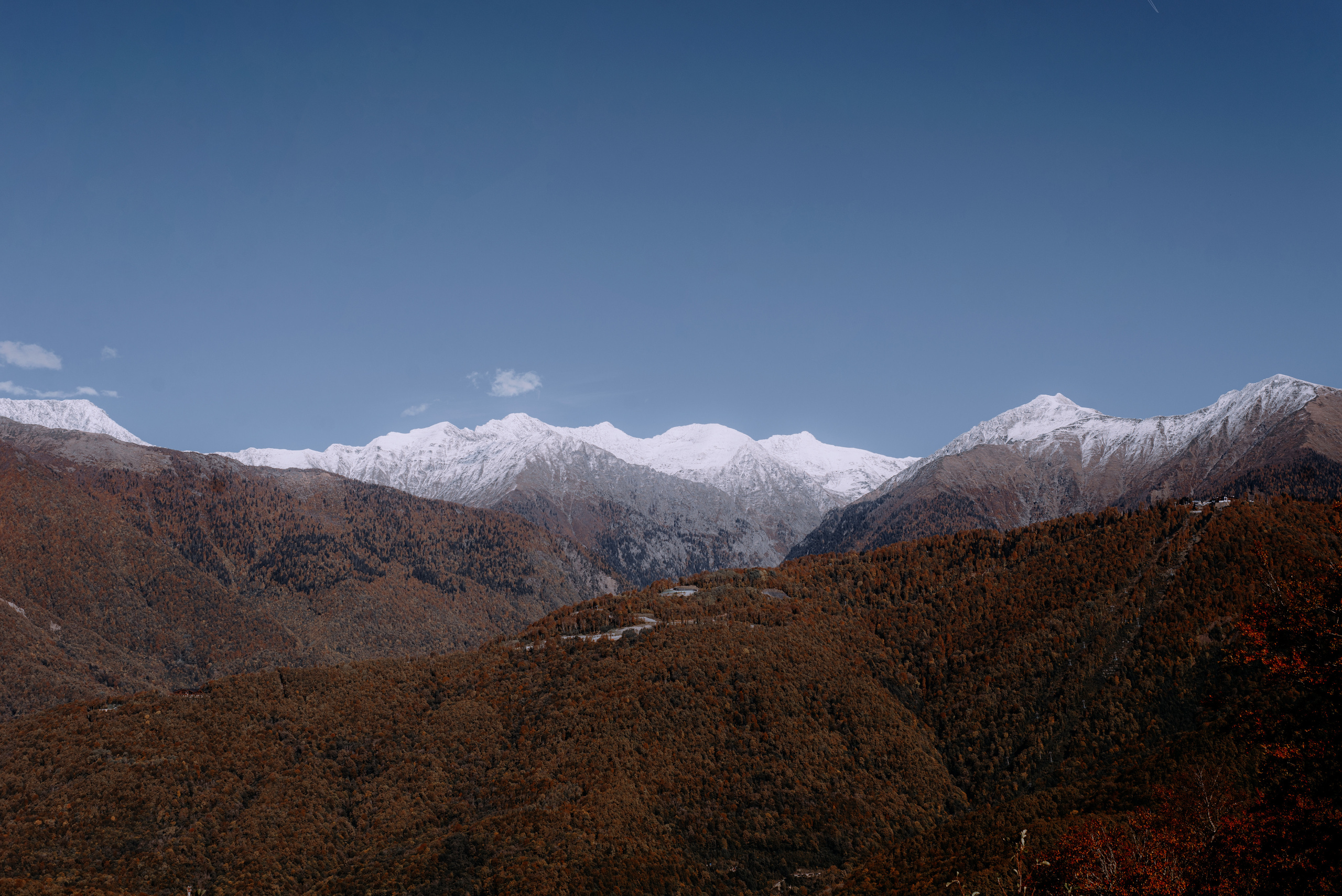 Autumn Wallpapers. Портретный фотограф в Москве Даша Беседина