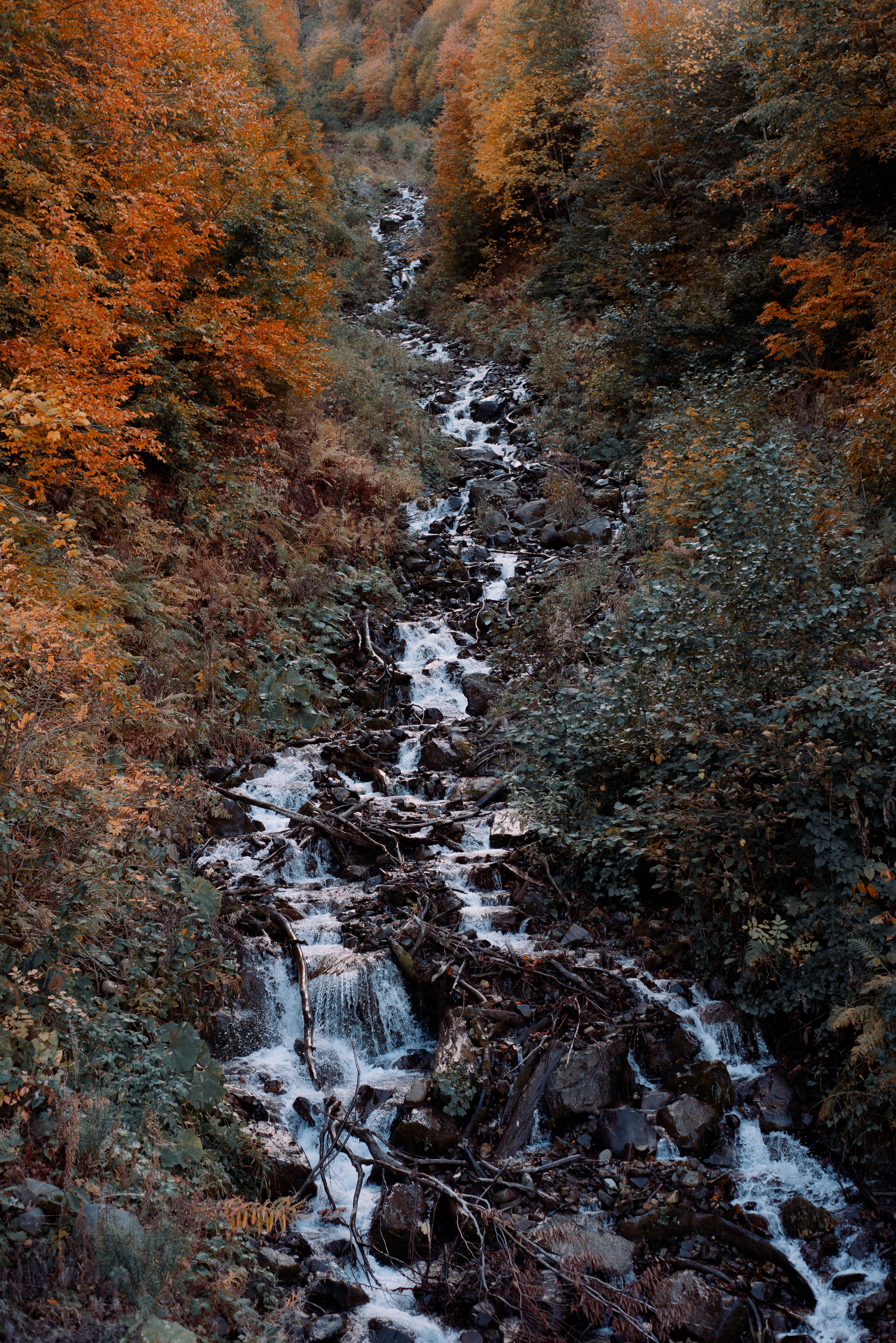 Autumn Wallpapers. Портретный фотограф в Москве Даша Беседина