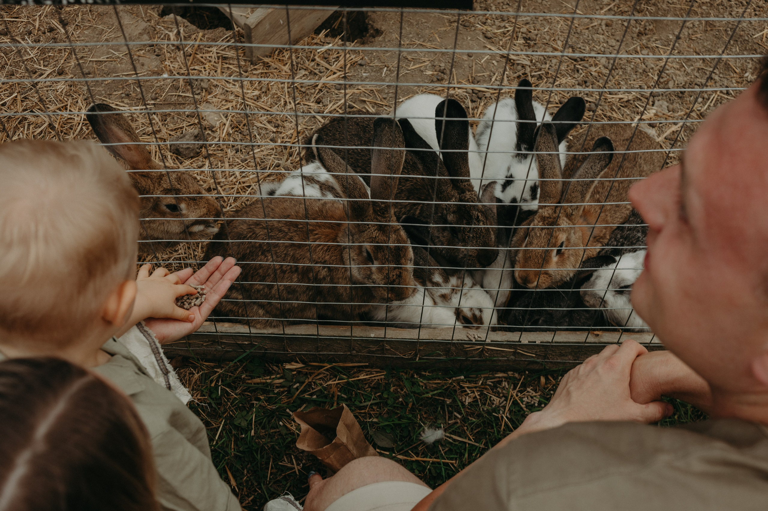 Семейное путешествие на ферму. Фотограф в Краснодаре Евгения Михаевич