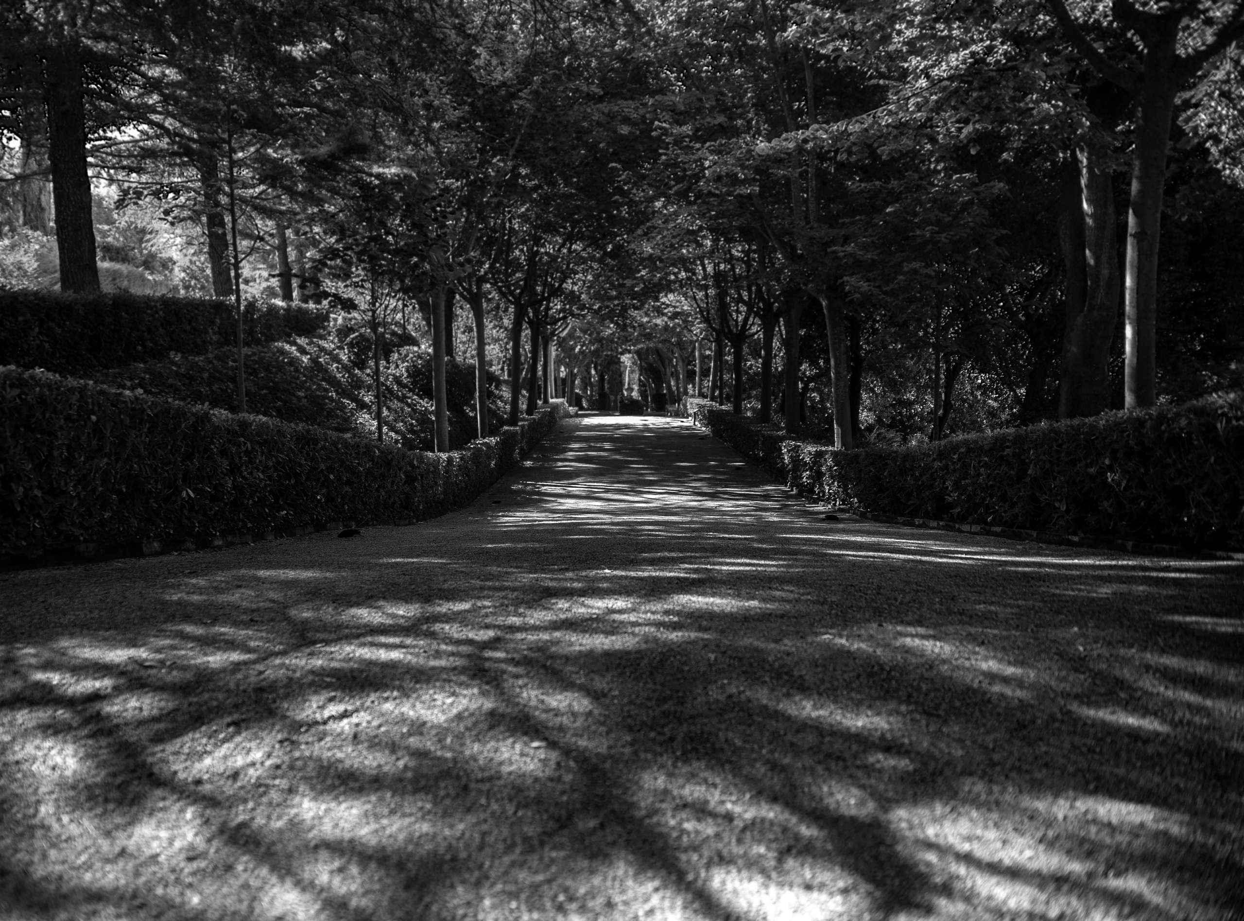 Impressions. Фотограф Oleg Zini