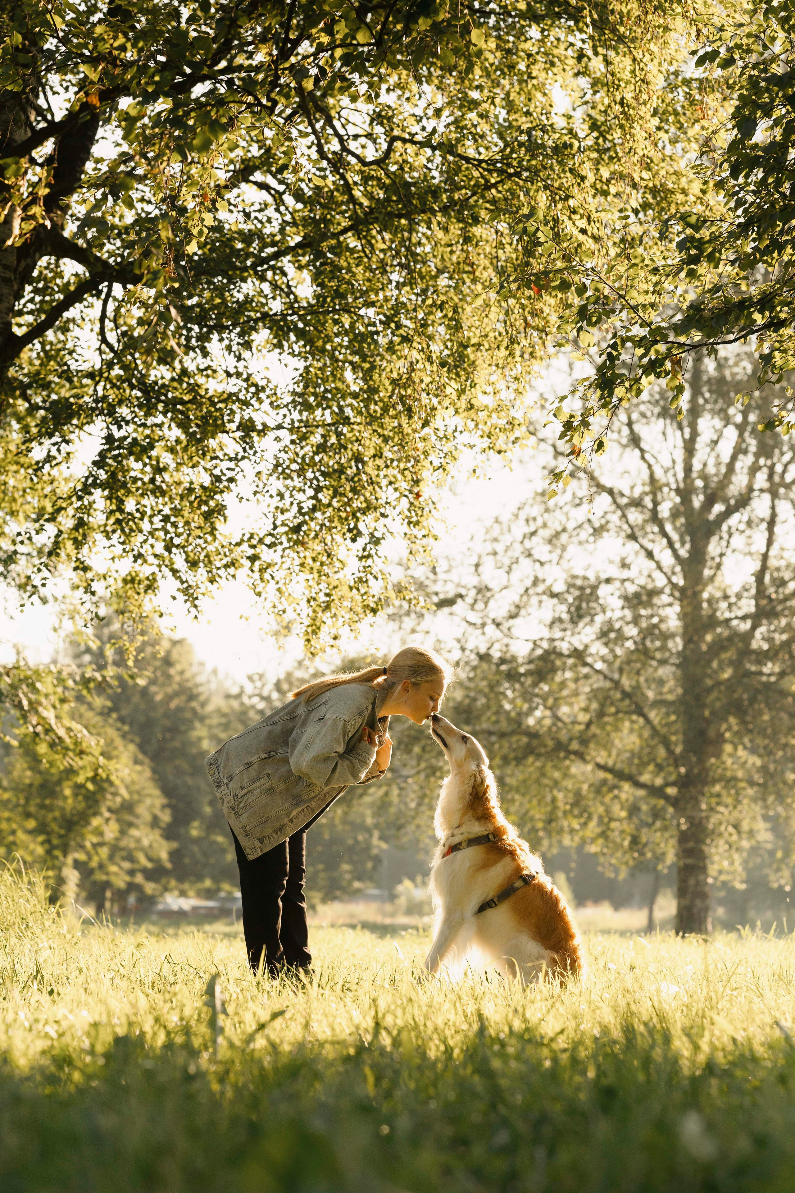 Тайга. Фотограф- анималист Александра Матвеева