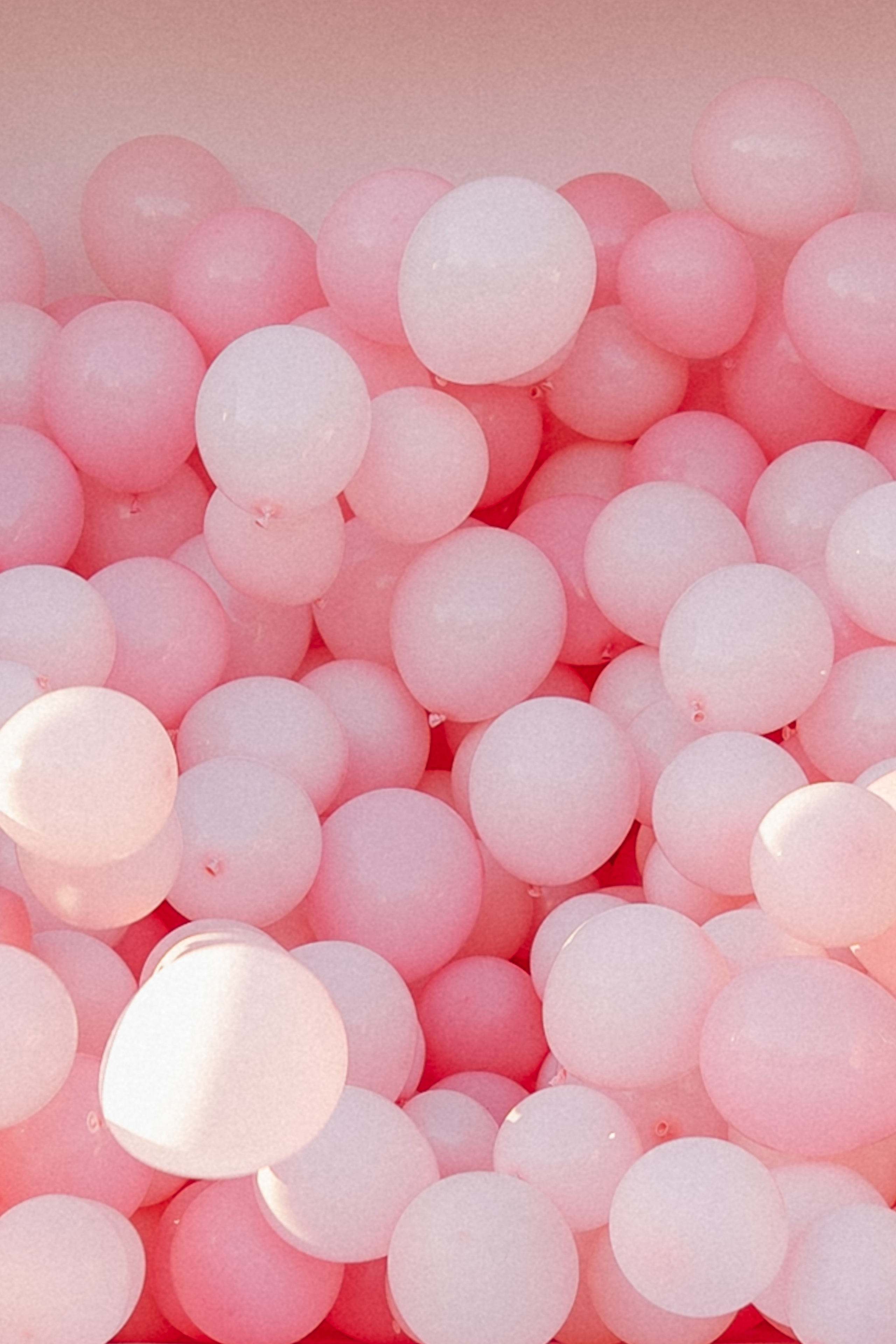 Гендер-пати. Свадебный фотограф в Краснодаре и Сочи Винидиктова Екатерина