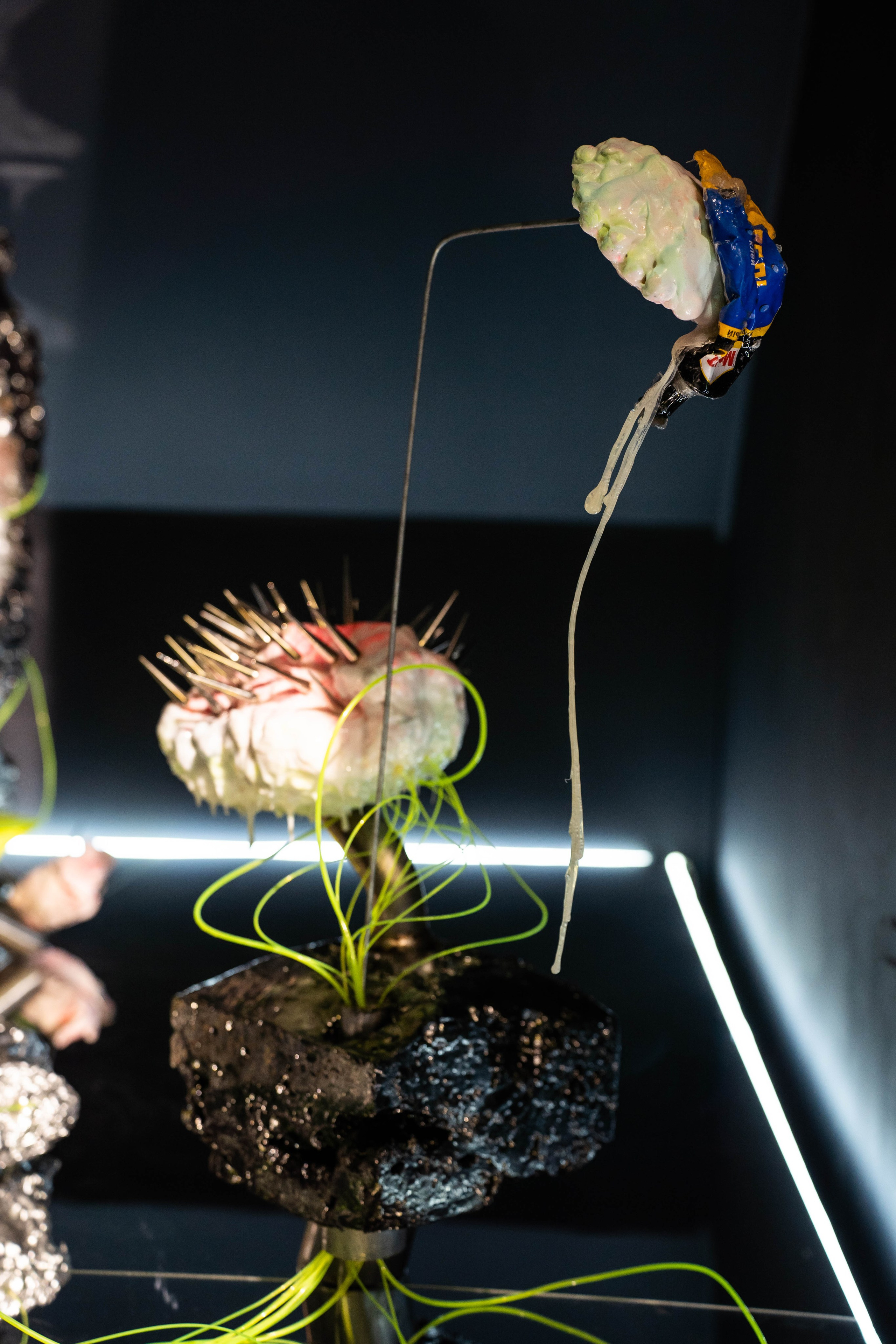 MARS. Фотограф Абакумова Анастасия