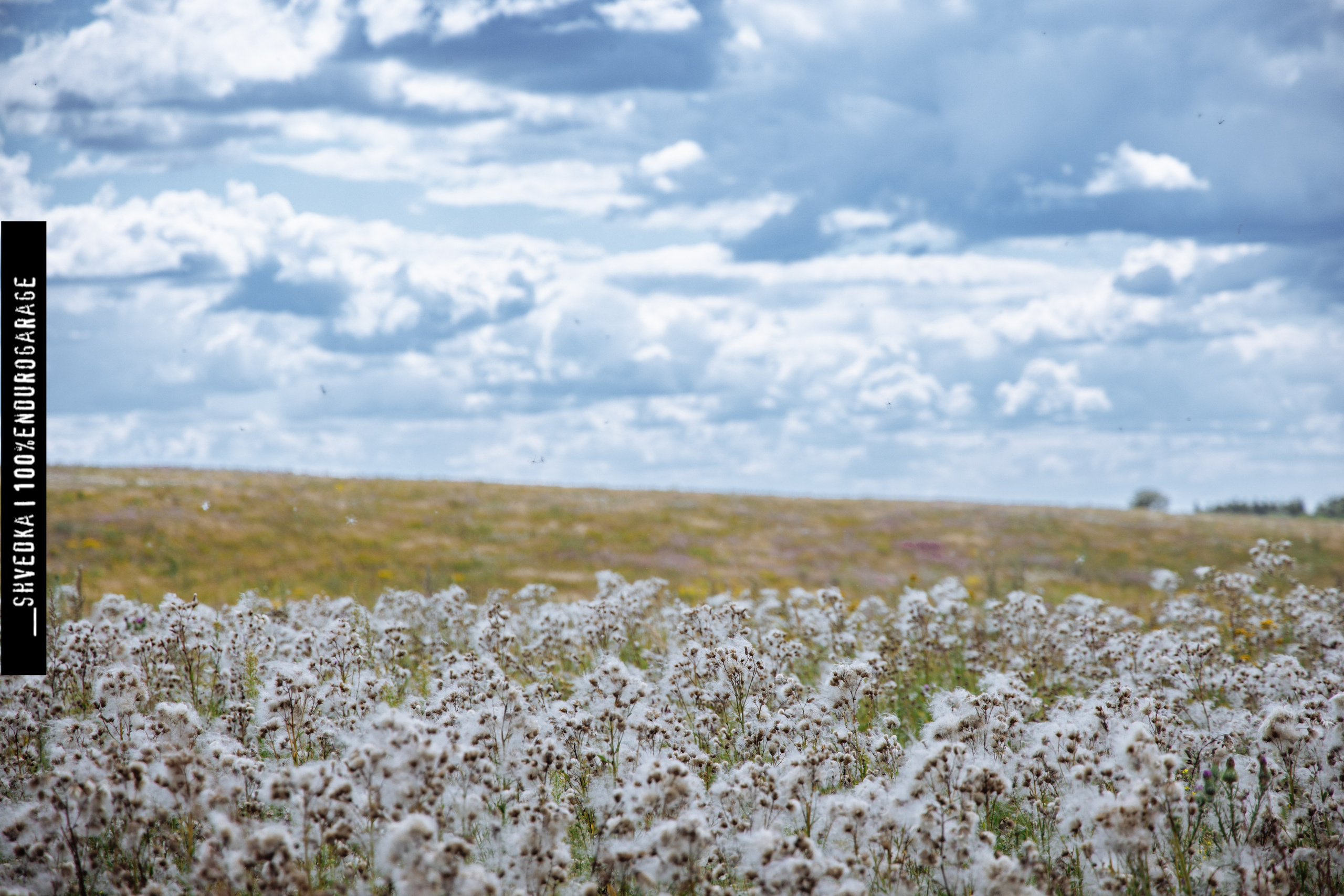 ПЕРВЫЙ ЛЕСНОЙ ДЕНЬ. Ваш экстрим фотограф Кудрева Яна