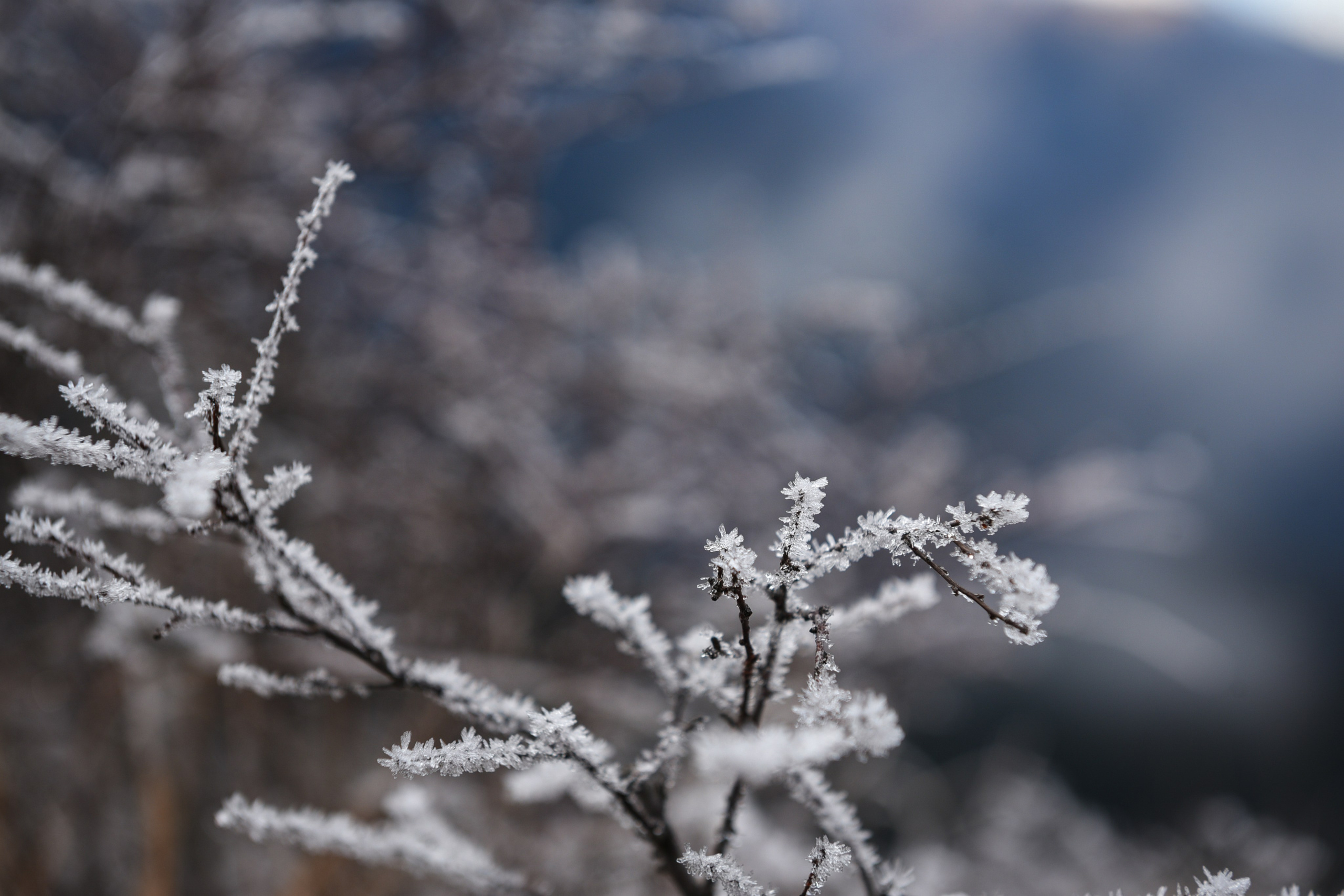 Nature. Anastasia Serdyuk, travel photographer, travel photo, portraits, stories, fineart prints