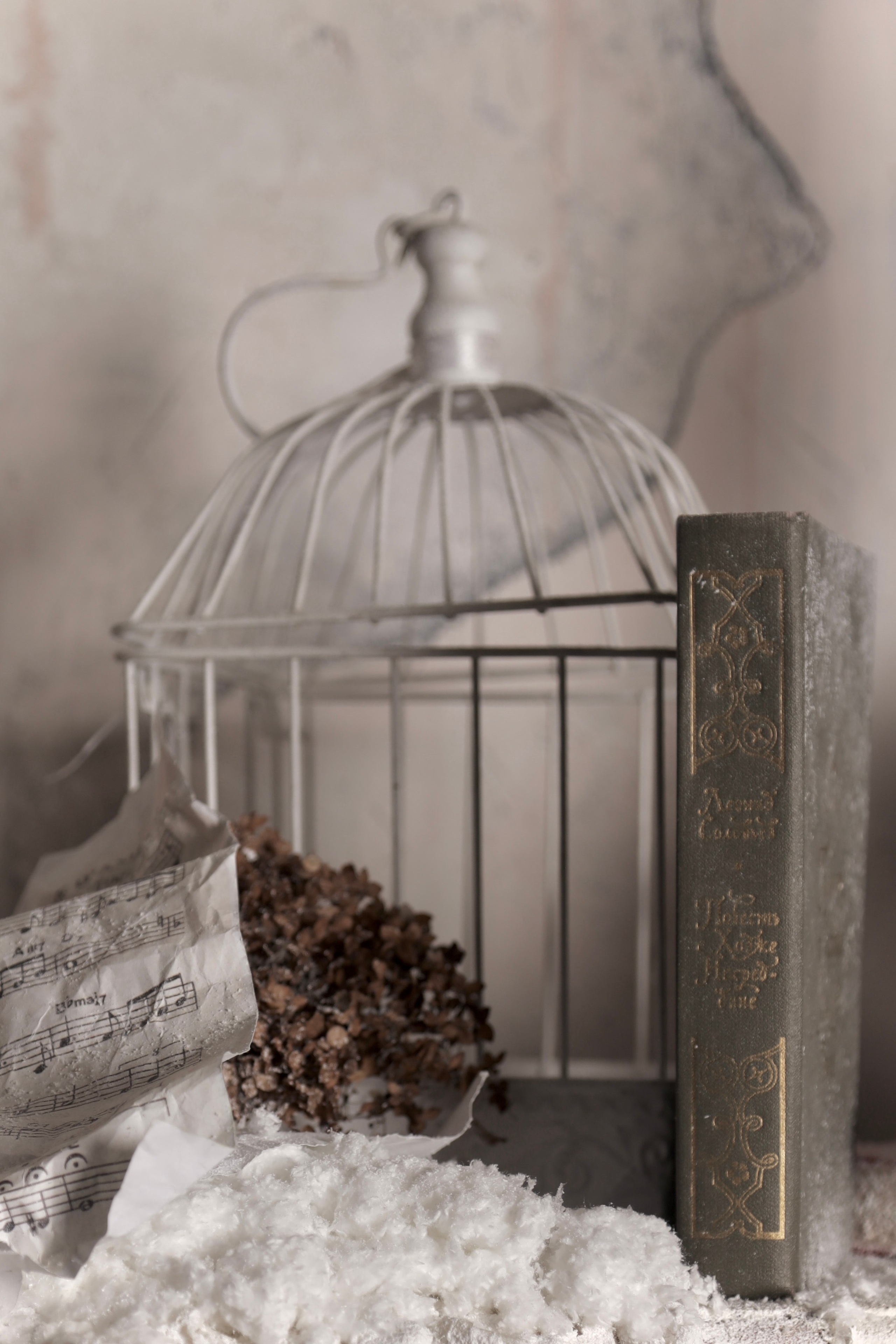 Фотопроект «Королева Нарнии». Фотосессии и репортаж — Фотограф в Москве — Рина Серёгина