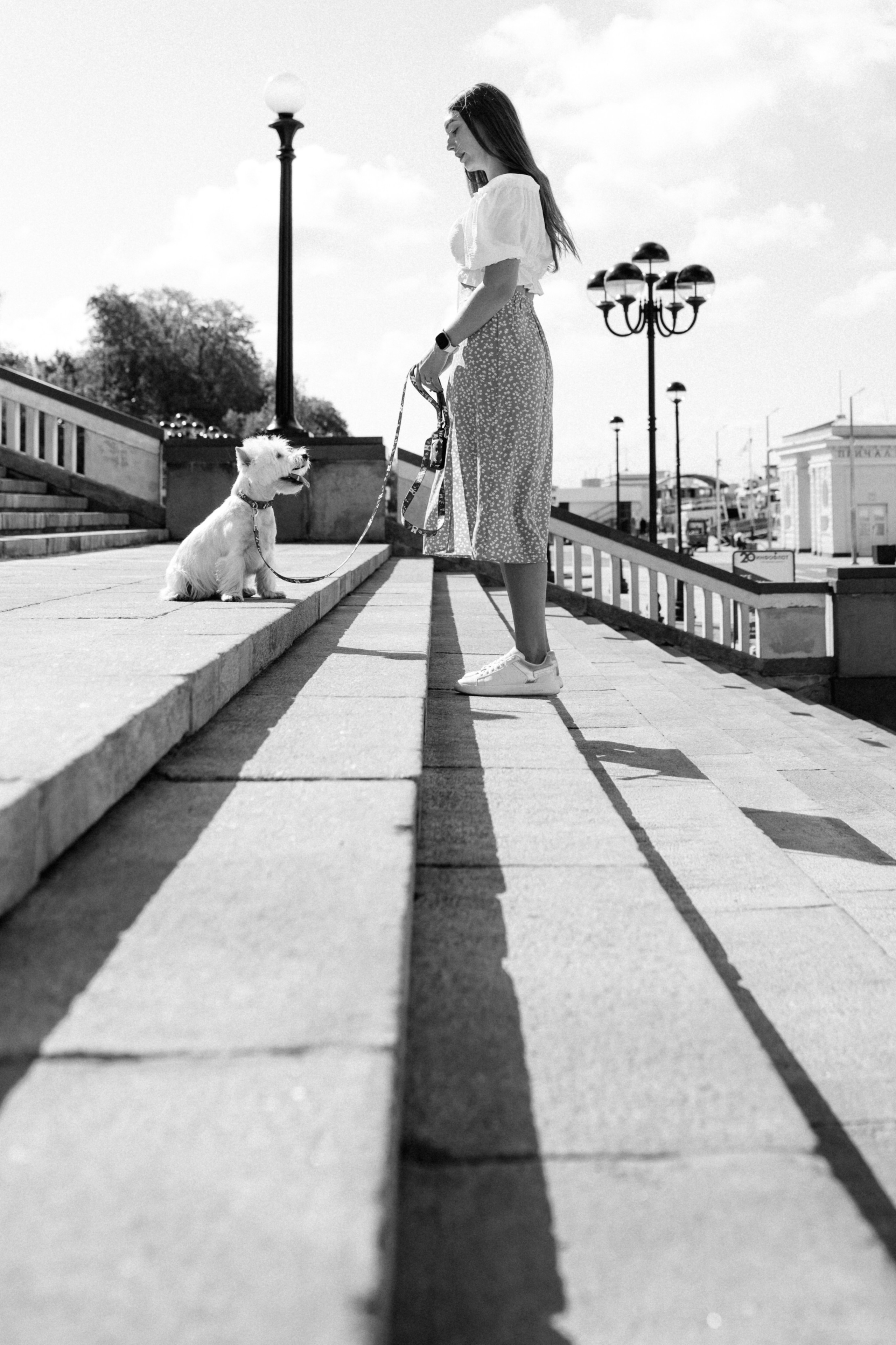 Даша и Вайт. Фотограф анималист в Москве Ольга Агушева