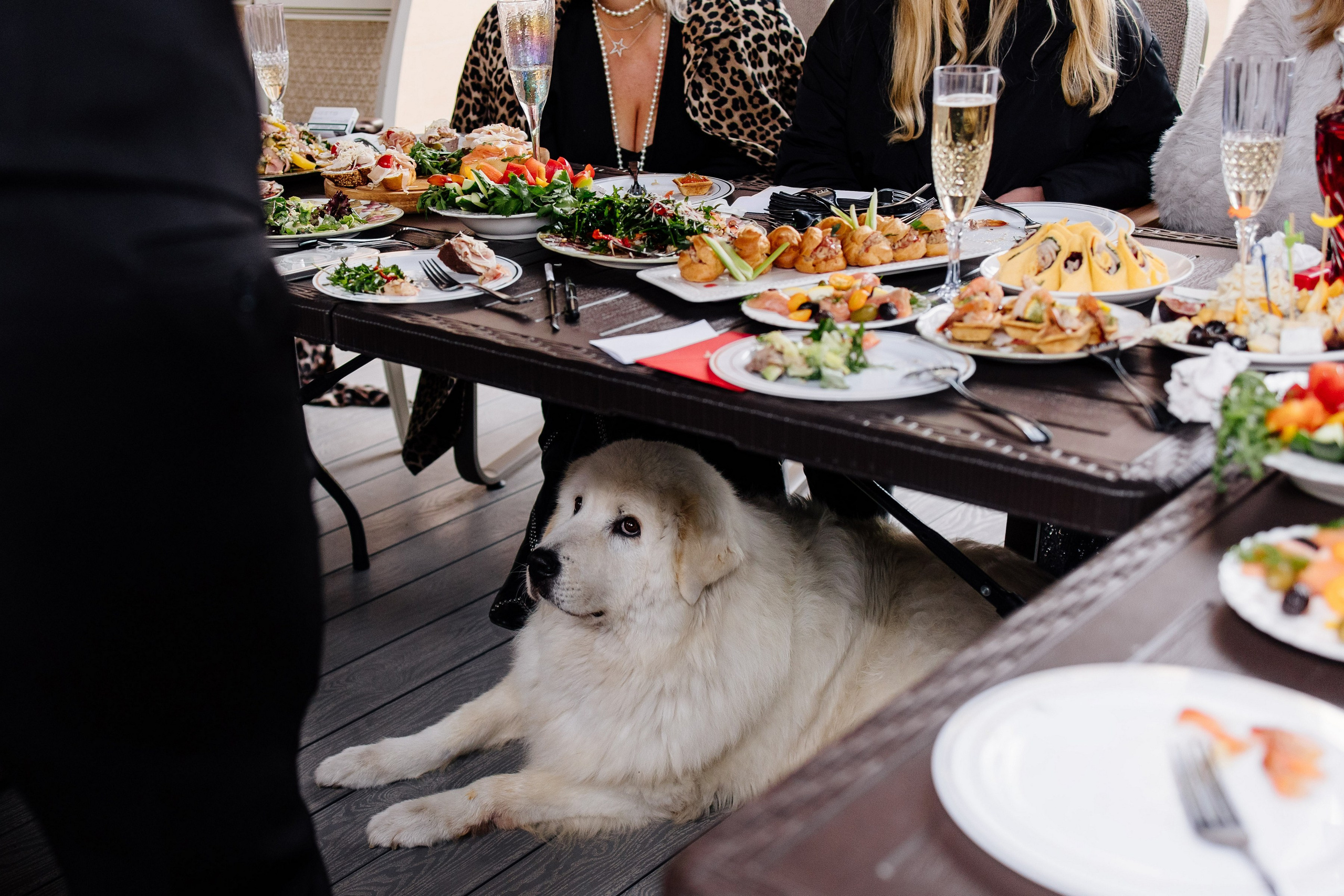 Донна Мария Крылоне и её мафия. Свадебный и семейный фотограф Екатерина Иванова