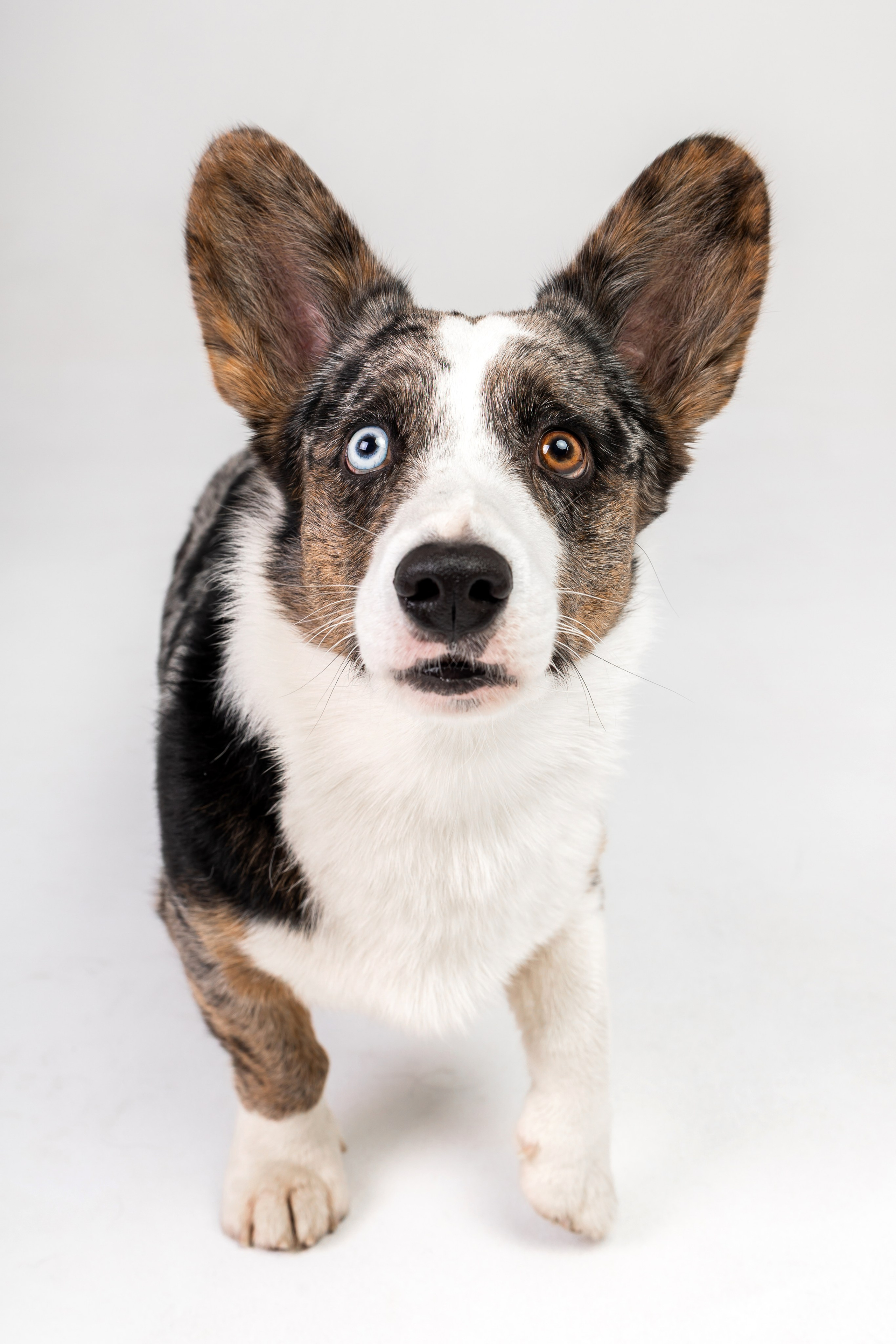 Анатолий и Рагнар