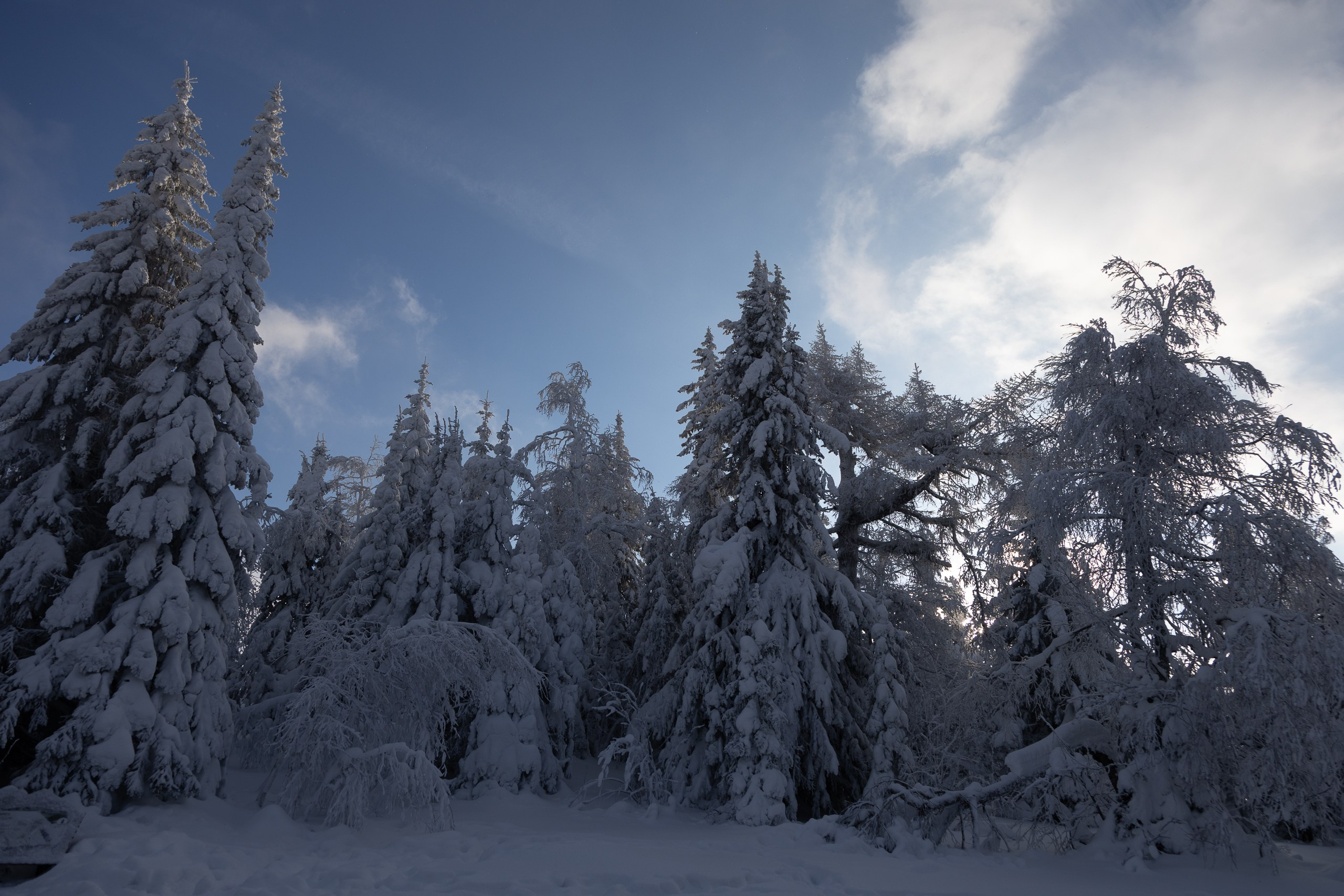 Черная скала. Sandman Realm