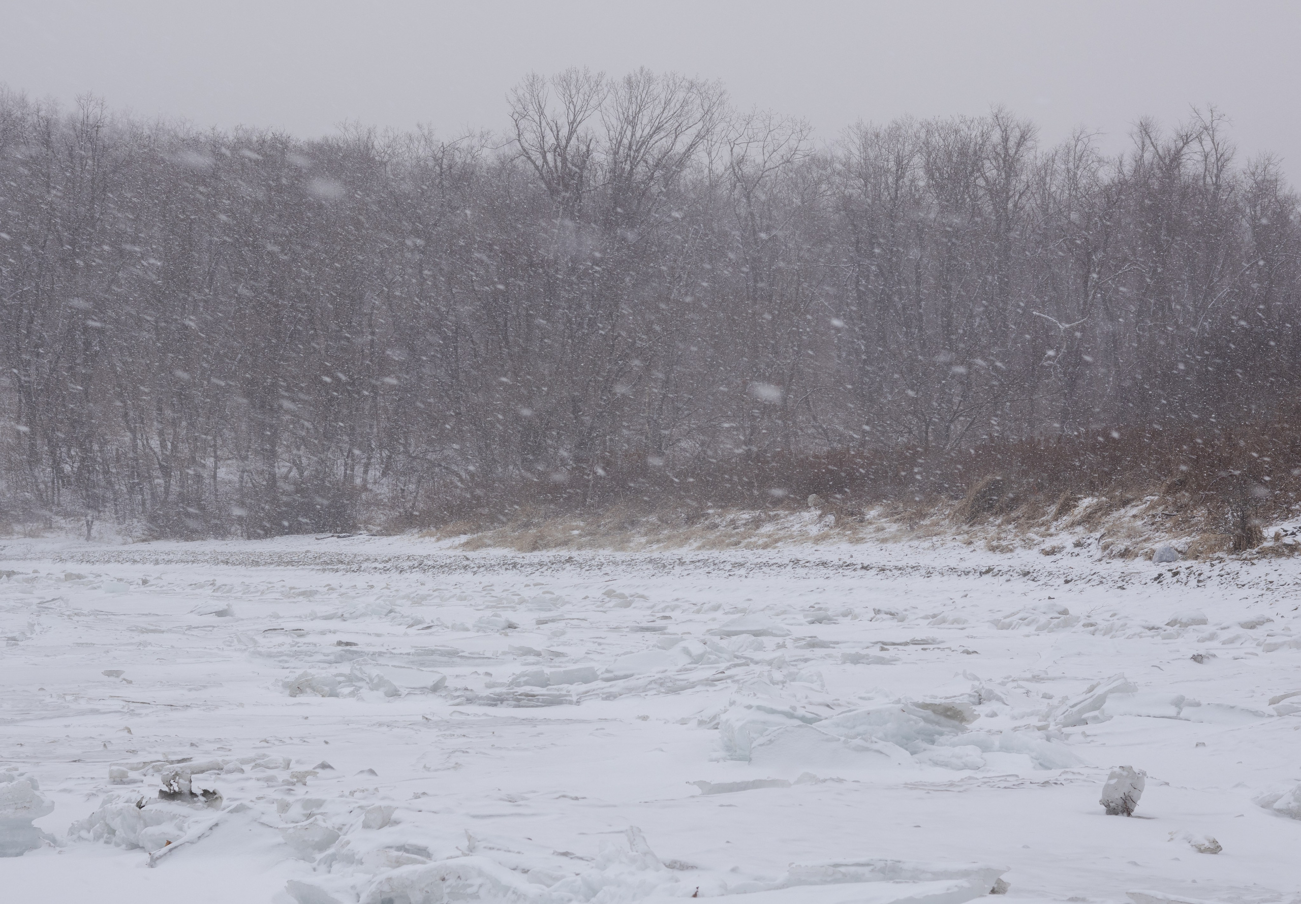 Константин Кириченко